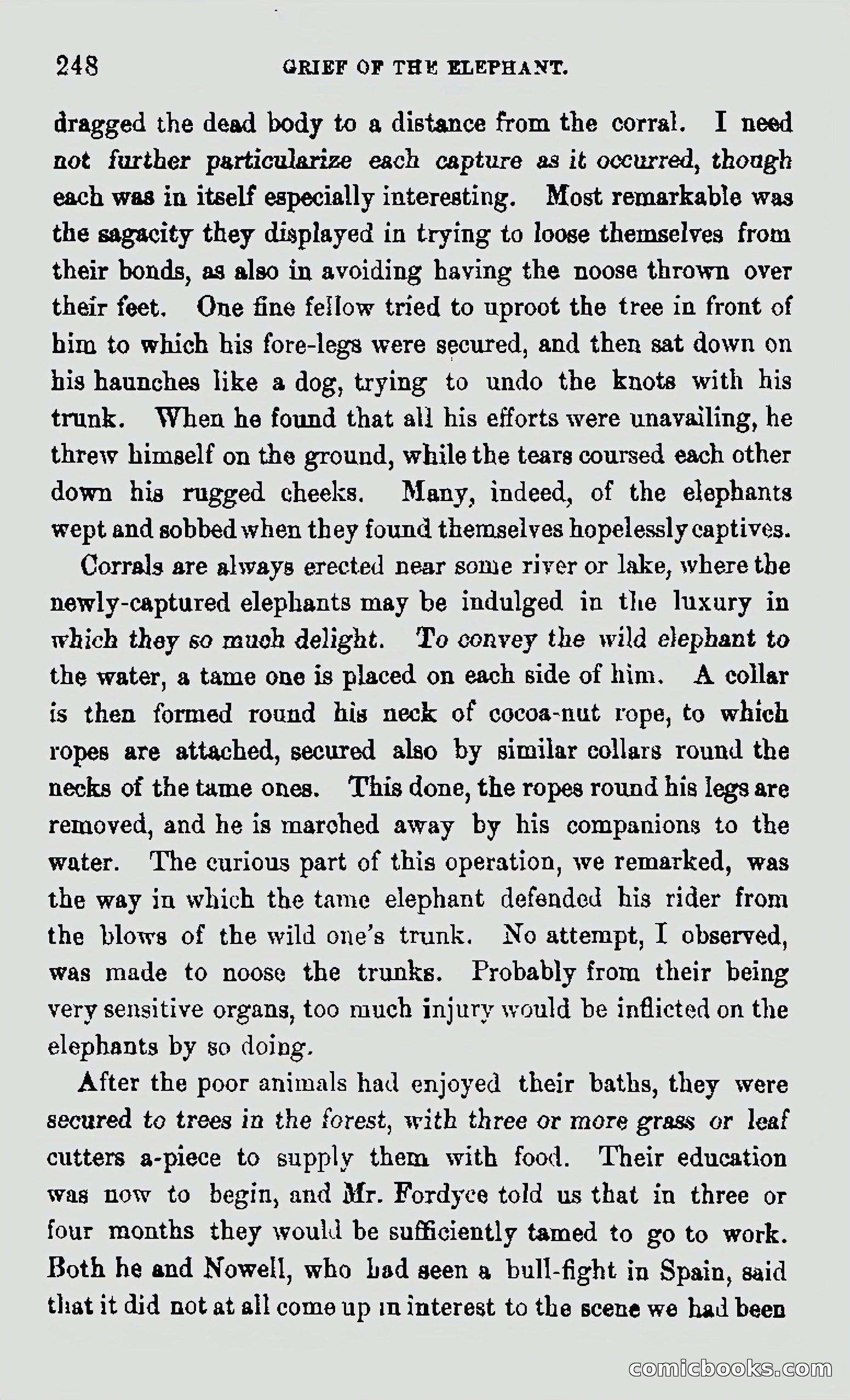 My First Voyage to Southern Seas — page 250 of 400