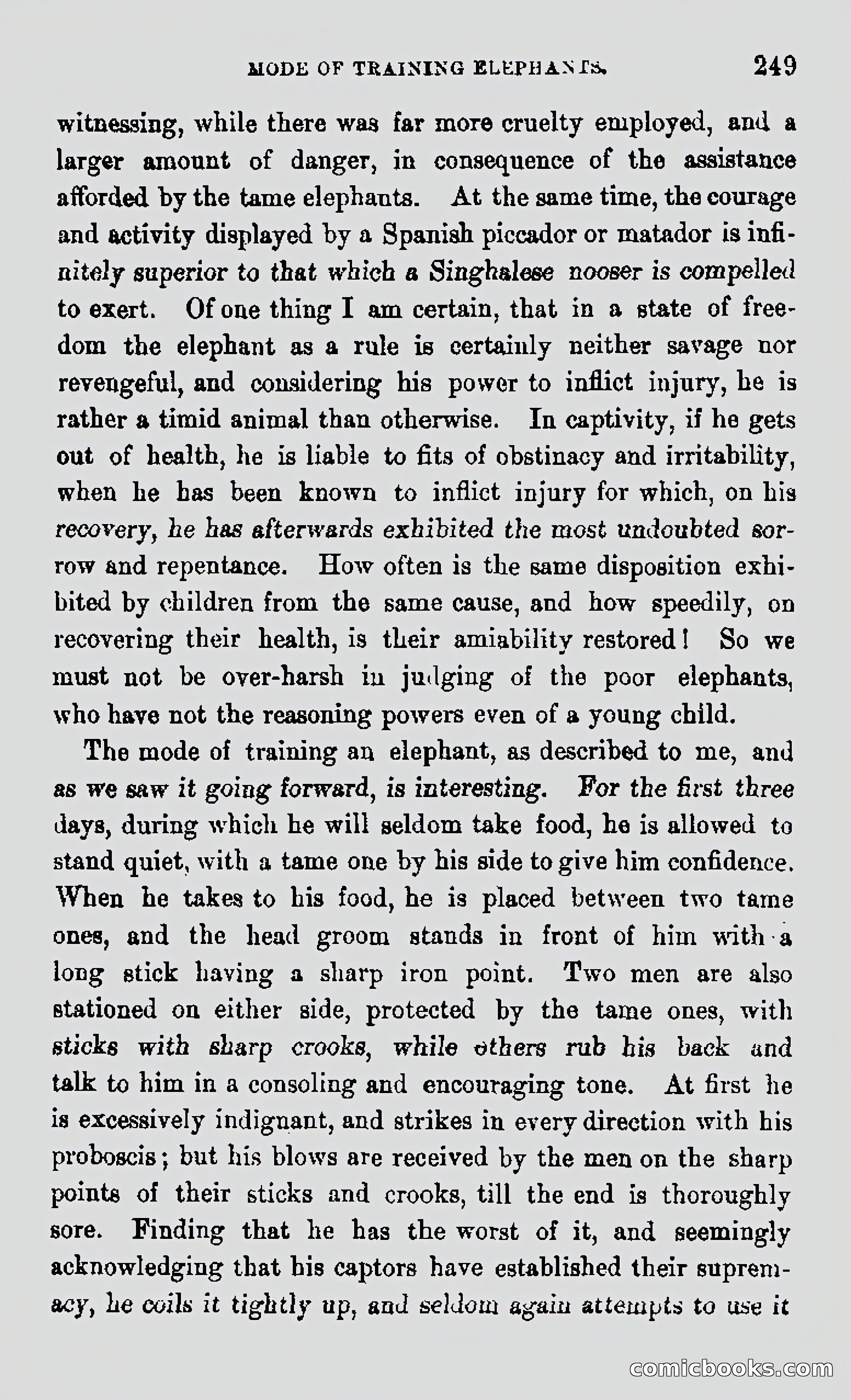 My First Voyage to Southern Seas — page 251 of 400