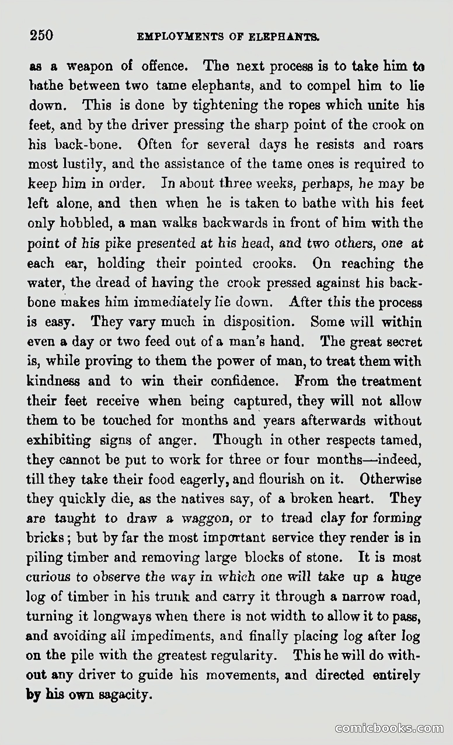 My First Voyage to Southern Seas — page 252 of 400