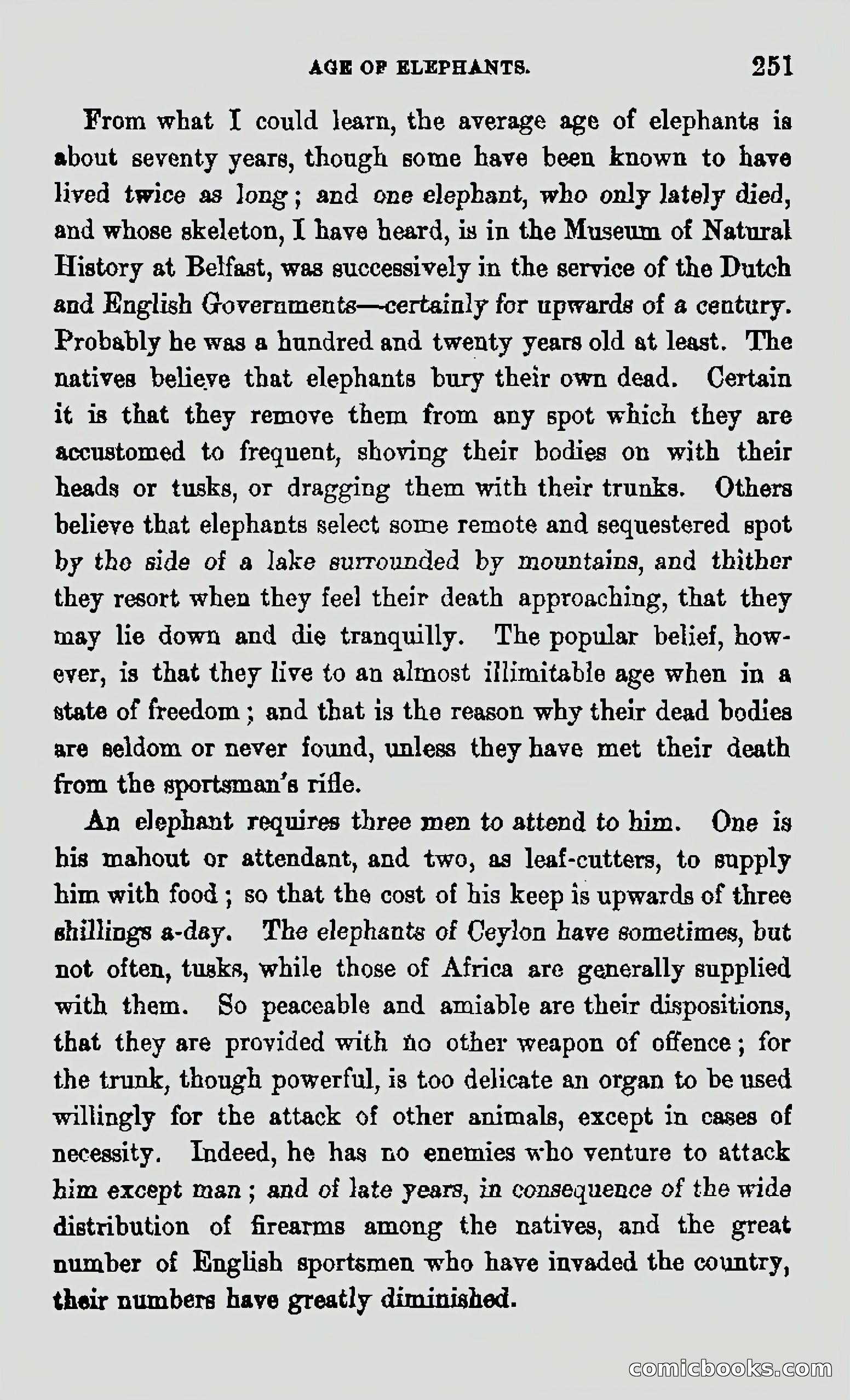 My First Voyage to Southern Seas — page 253 of 400
