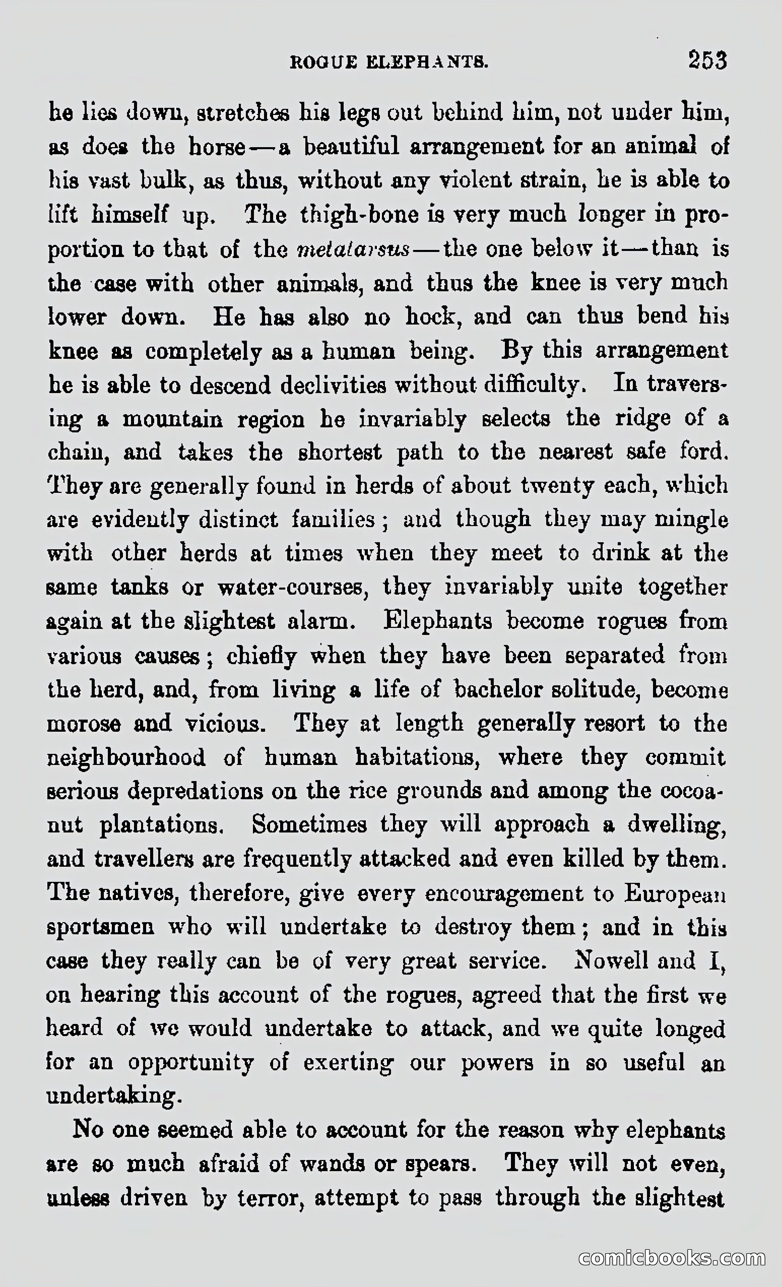 My First Voyage to Southern Seas — page 255 of 400