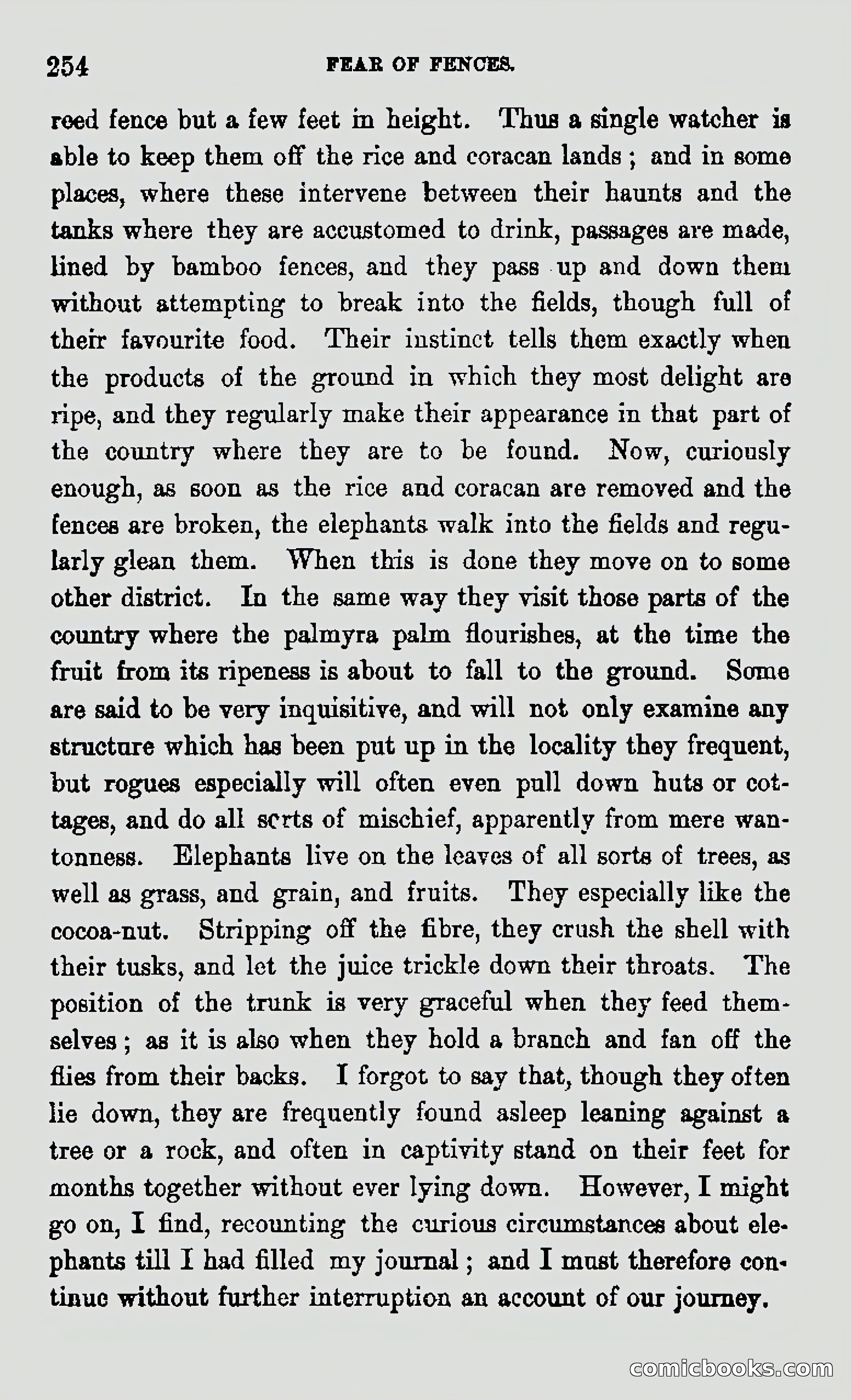 My First Voyage to Southern Seas — page 256 of 400
