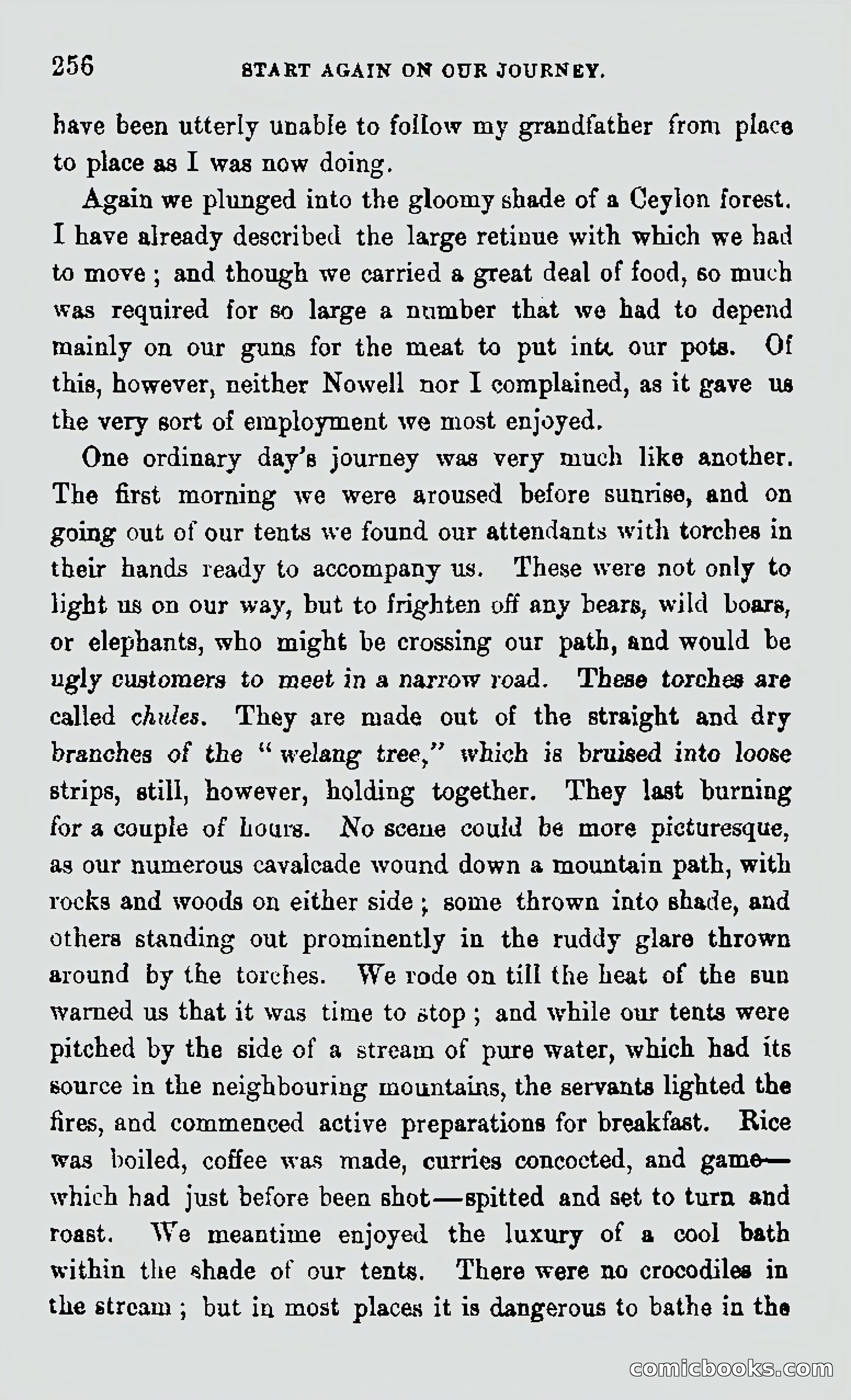 My First Voyage to Southern Seas — page 258 of 400