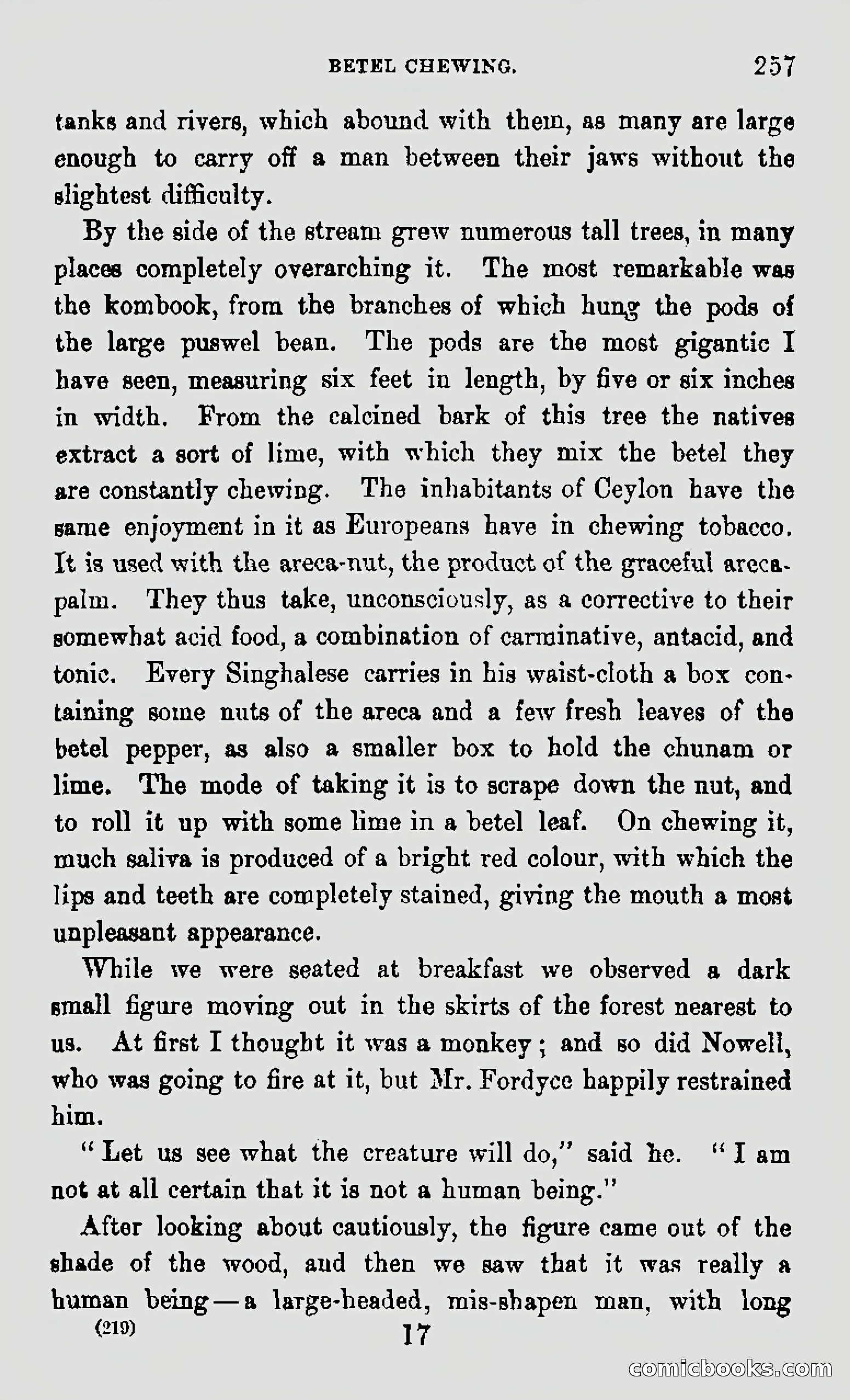 My First Voyage to Southern Seas — page 259 of 400