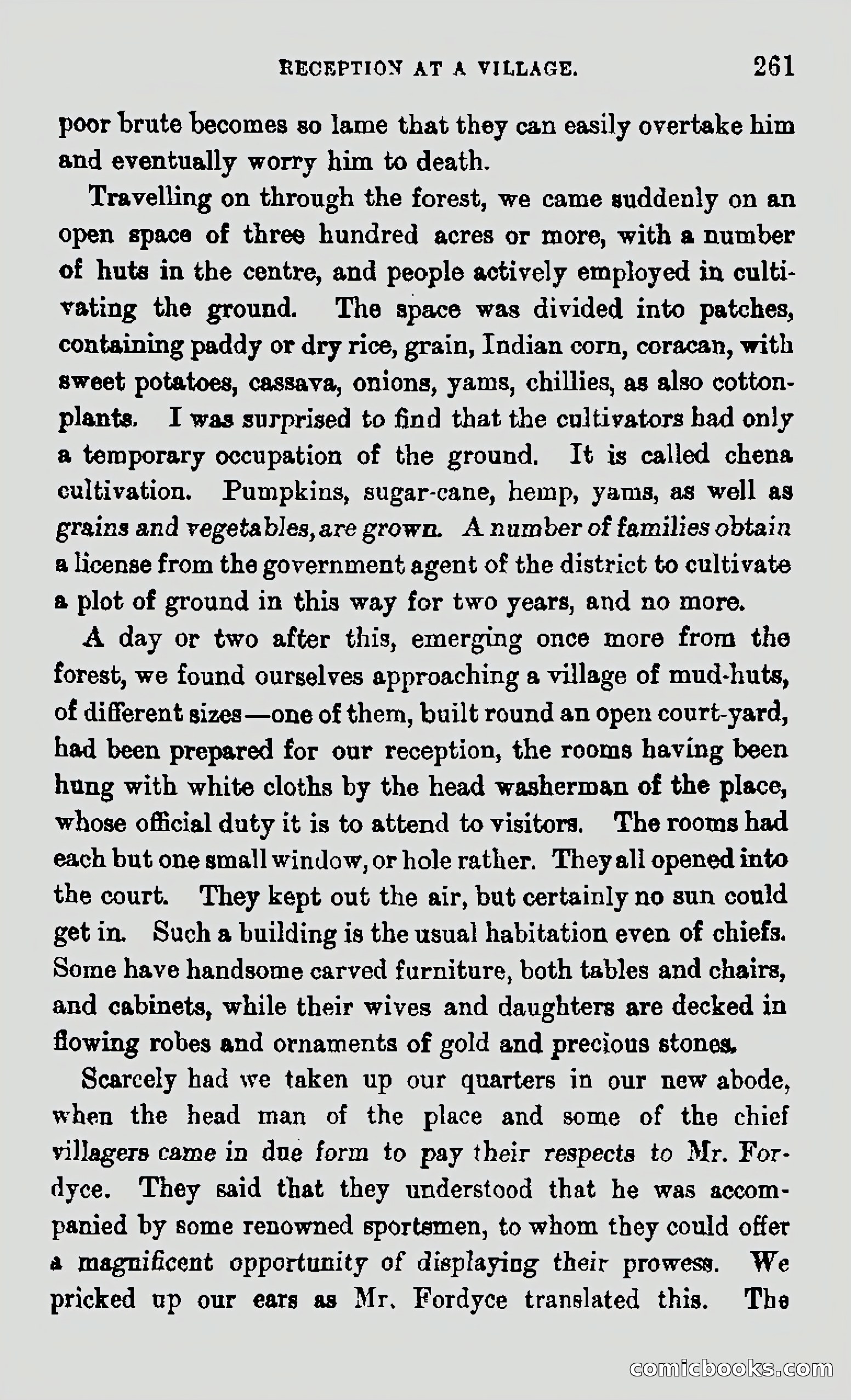 My First Voyage to Southern Seas — page 263 of 400