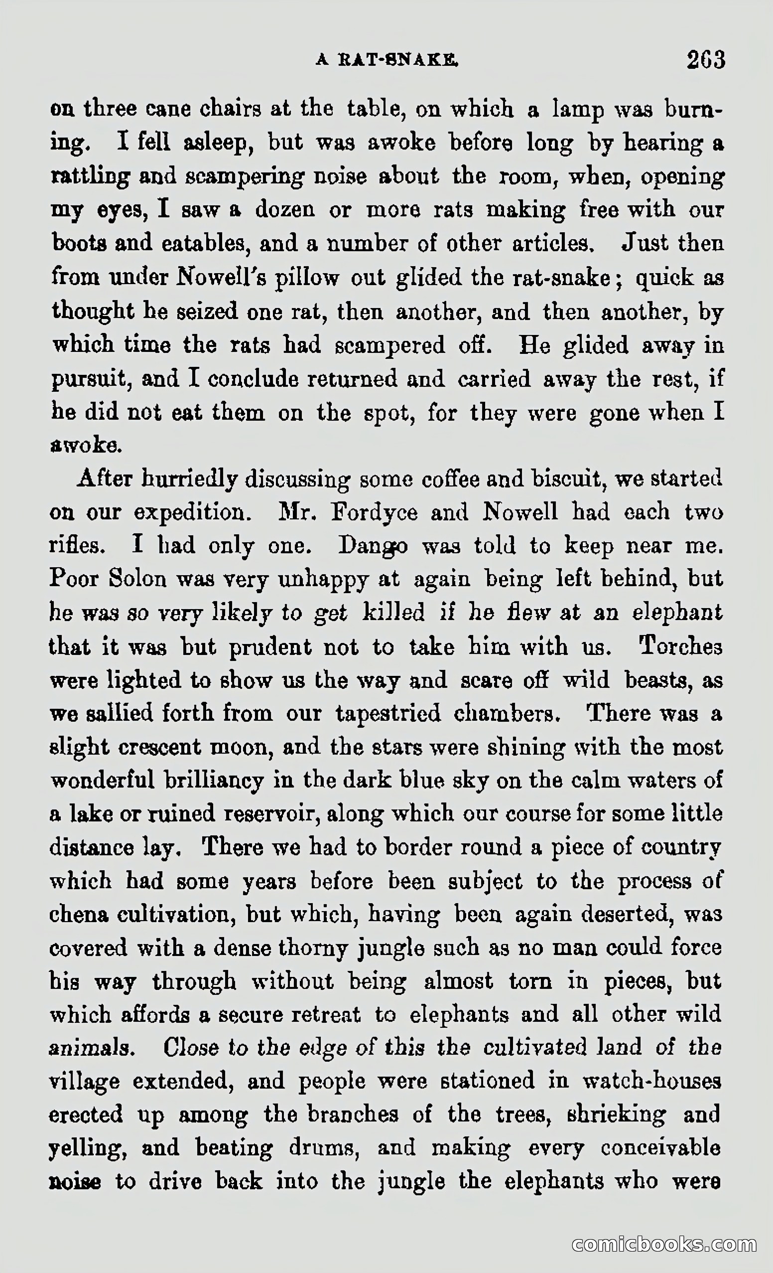 My First Voyage to Southern Seas — page 265 of 400