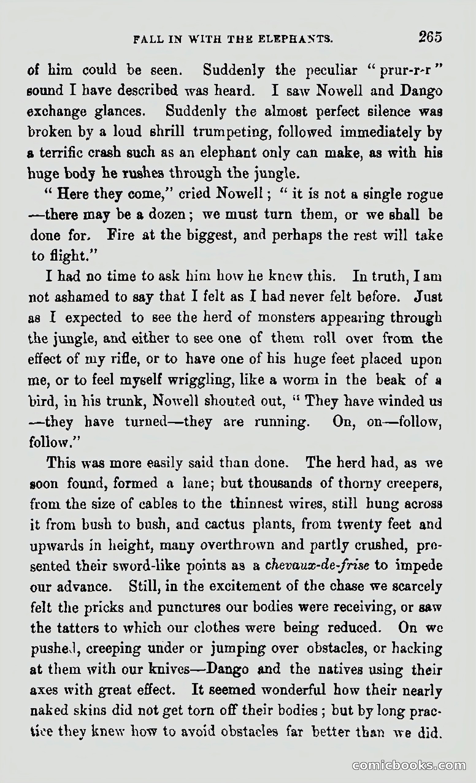 My First Voyage to Southern Seas — page 267 of 400