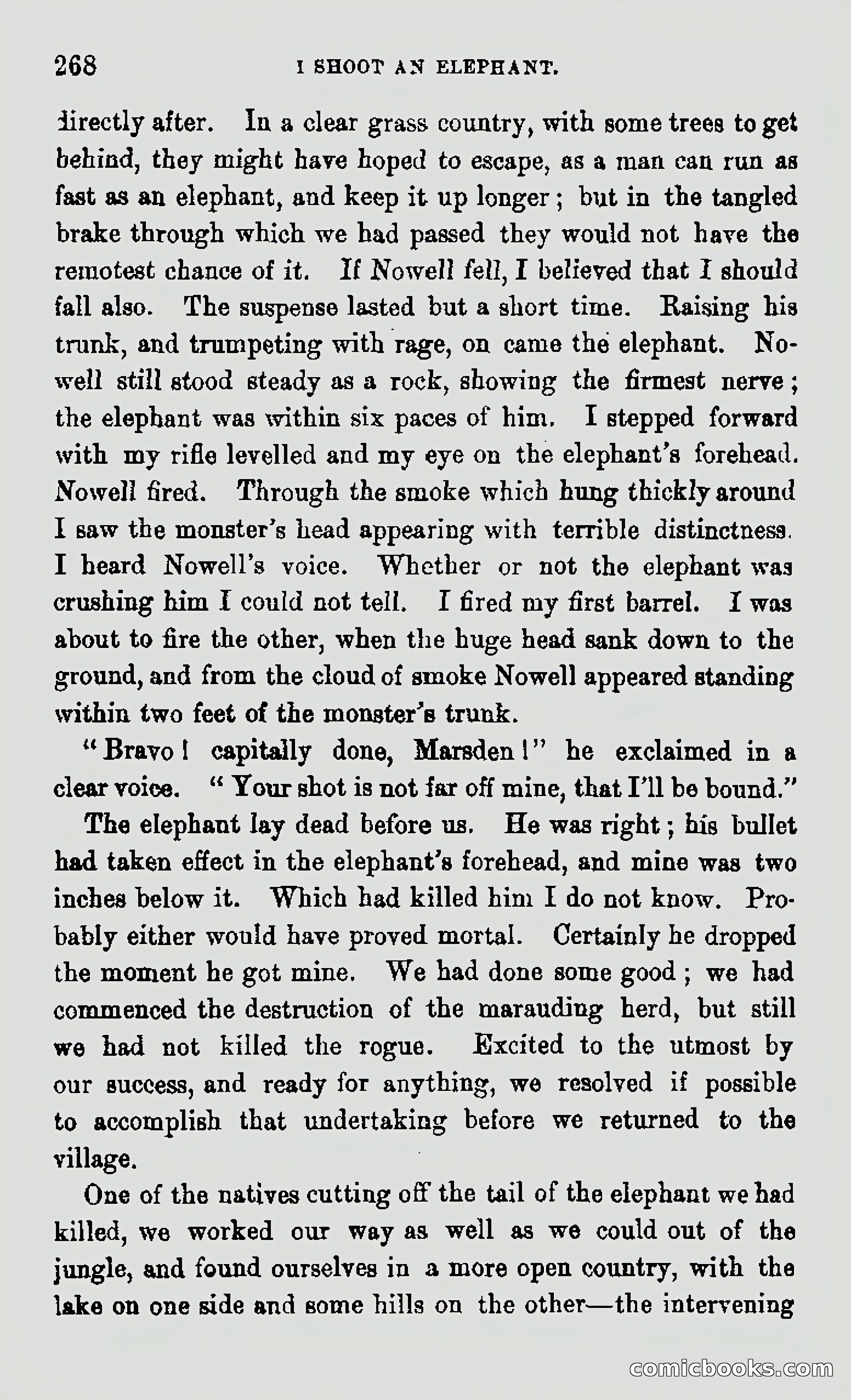 My First Voyage to Southern Seas — page 270 of 400