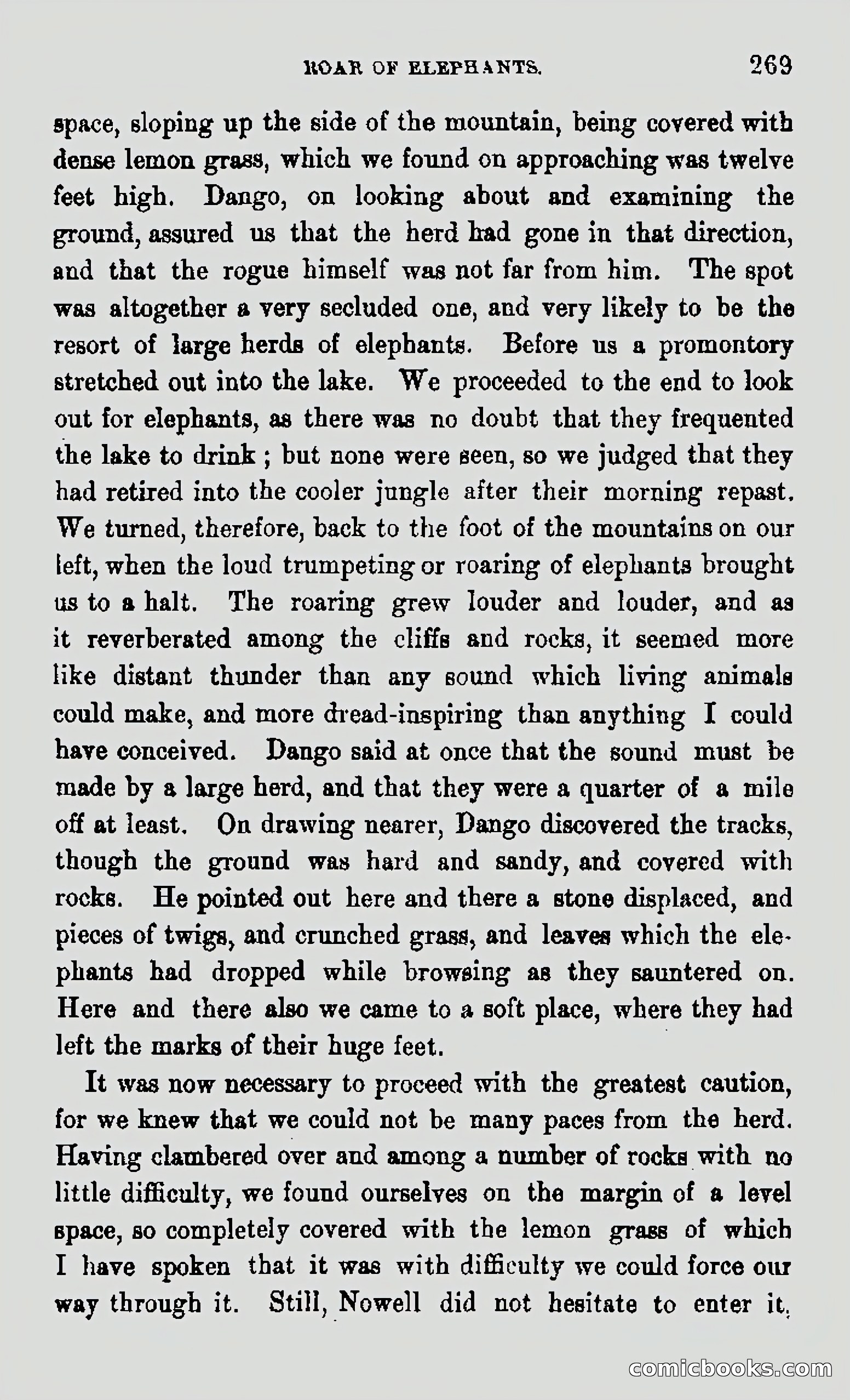 My First Voyage to Southern Seas — page 271 of 400