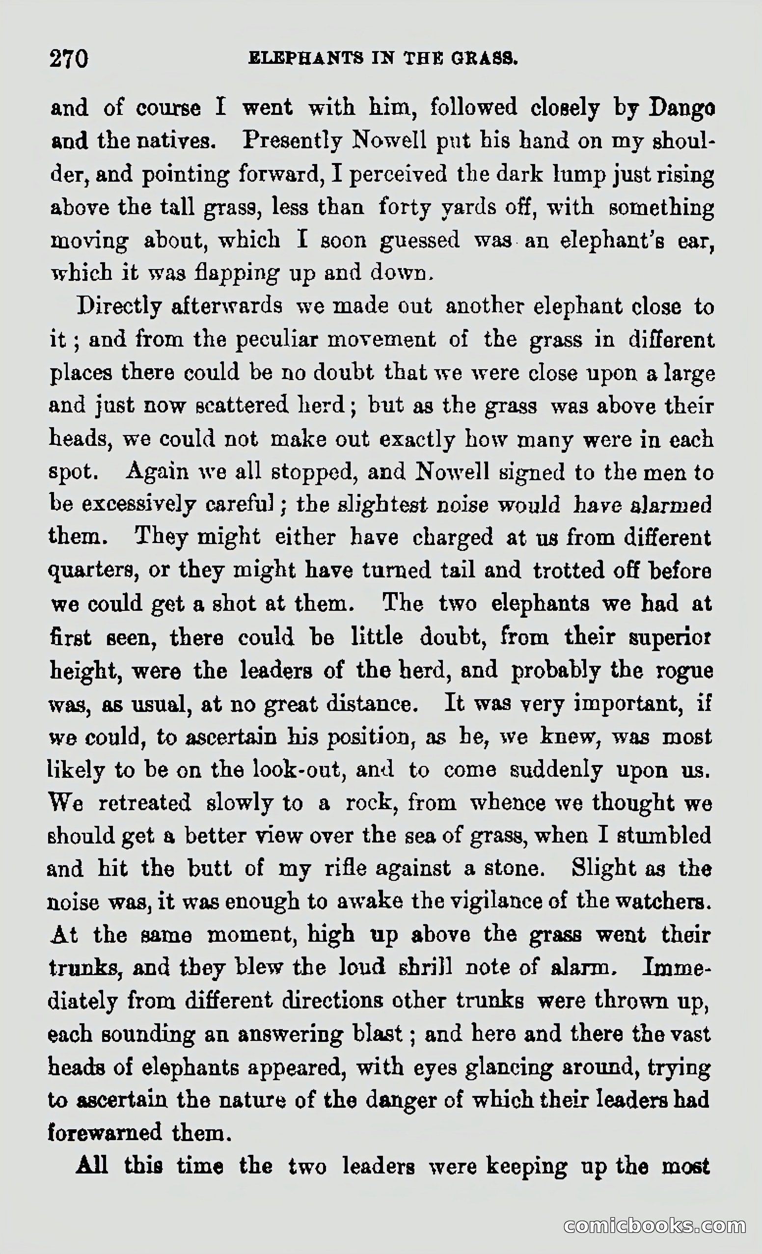 My First Voyage to Southern Seas — page 272 of 400