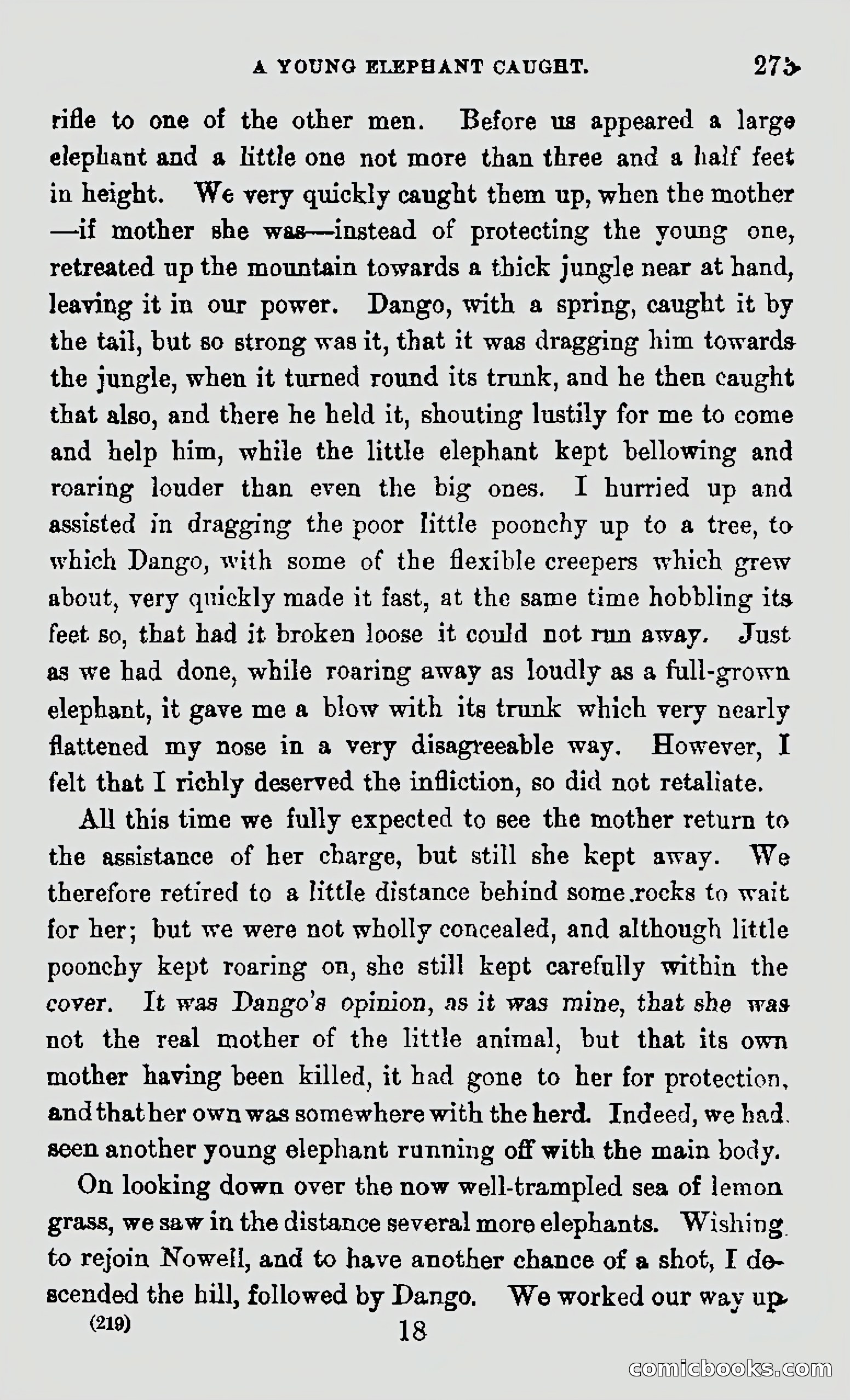My First Voyage to Southern Seas — page 275 of 400