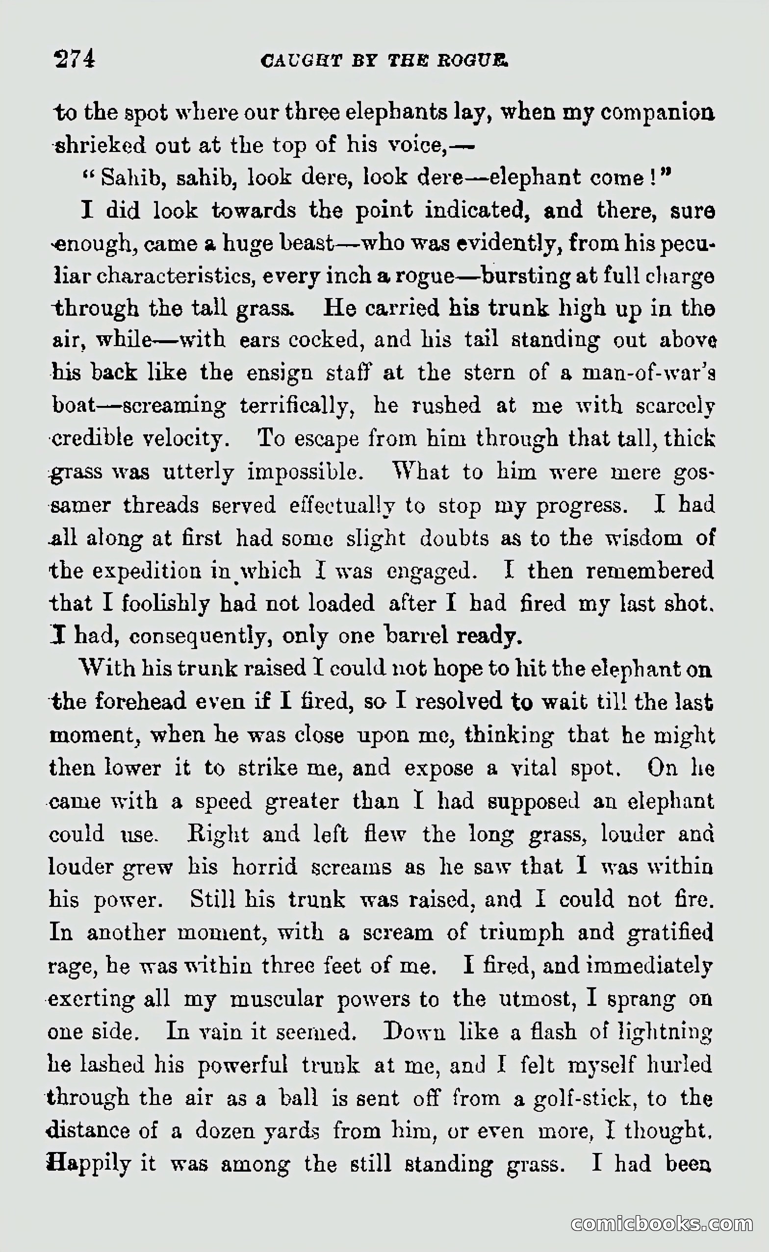 My First Voyage to Southern Seas — page 276 of 400