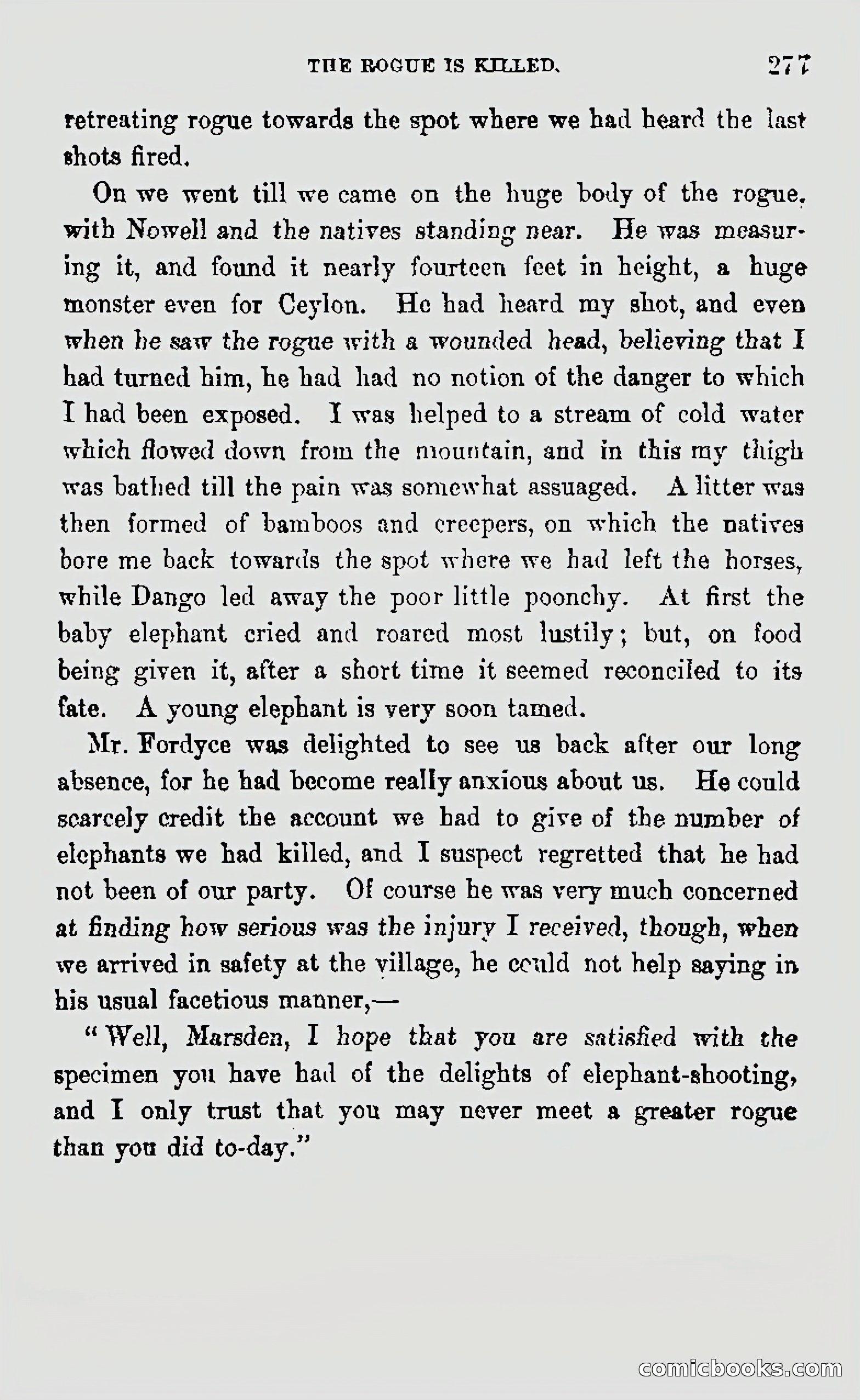 My First Voyage to Southern Seas — page 279 of 400