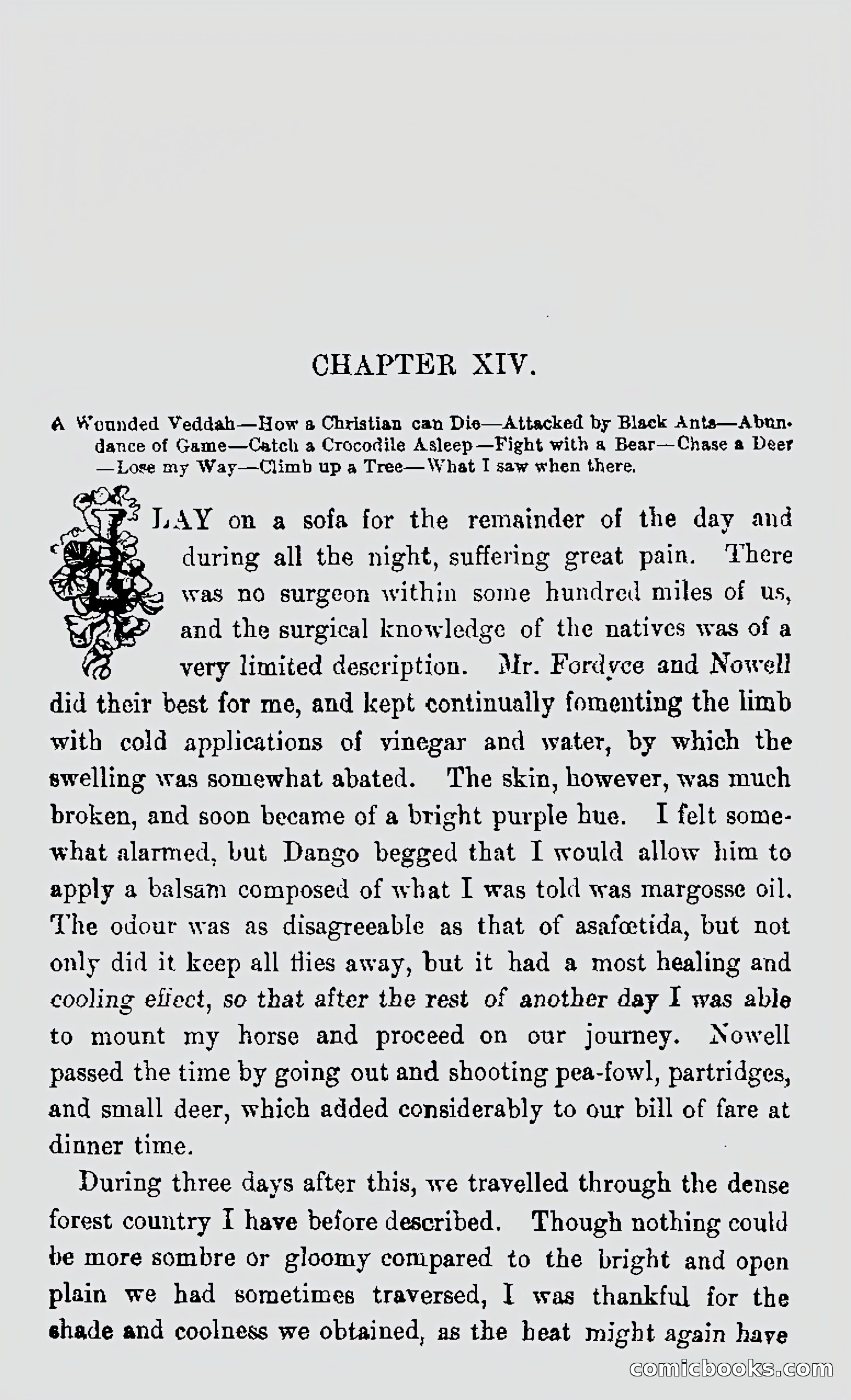 My First Voyage to Southern Seas — page 280 of 400
