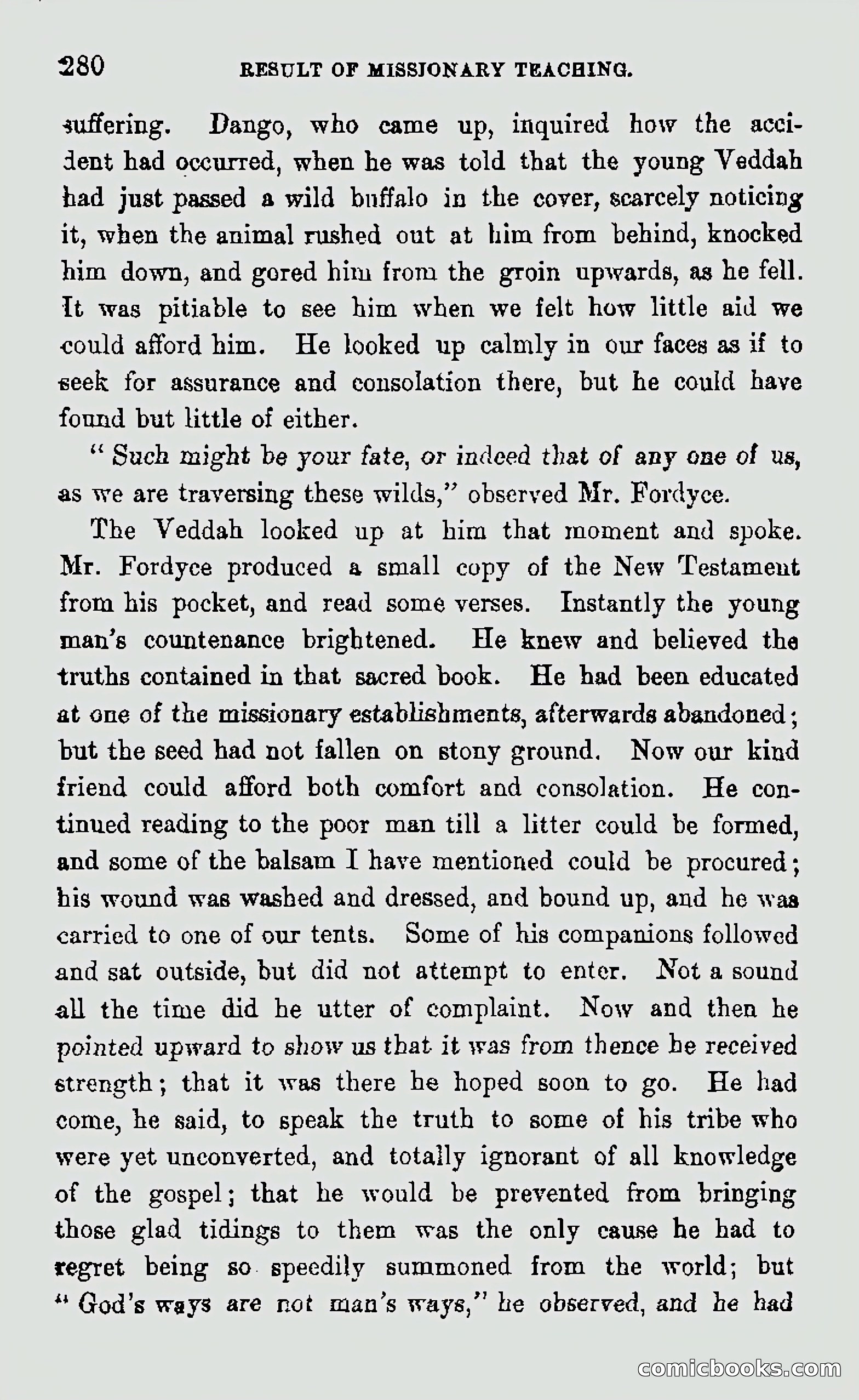 My First Voyage to Southern Seas — page 282 of 400