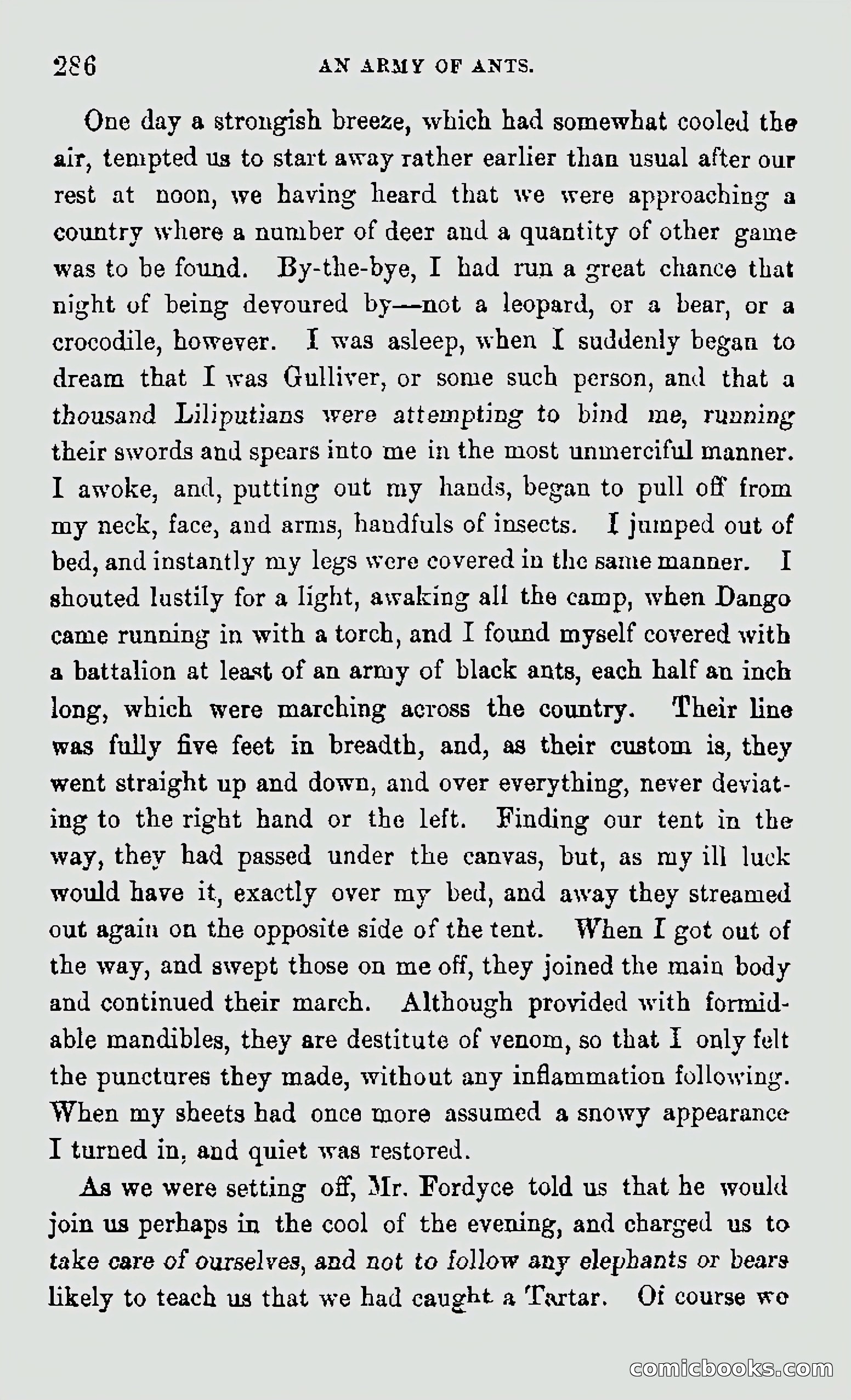 My First Voyage to Southern Seas — page 288 of 400