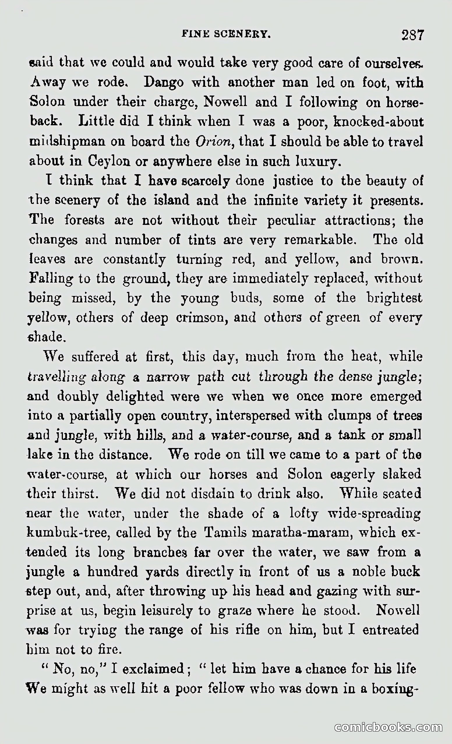 My First Voyage to Southern Seas — page 289 of 400