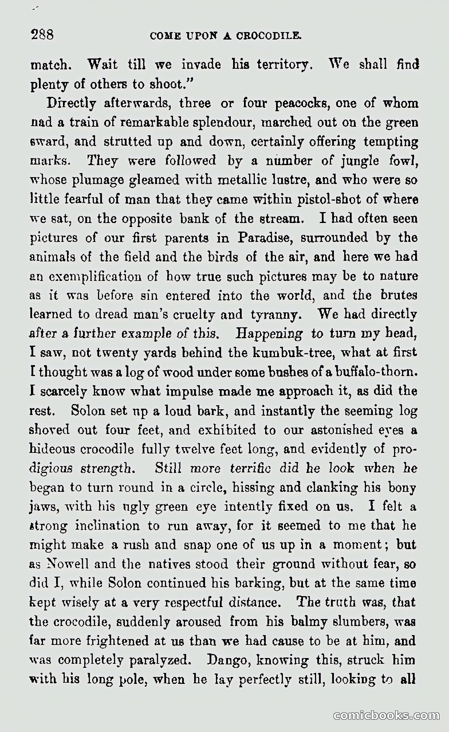 My First Voyage to Southern Seas — page 290 of 400