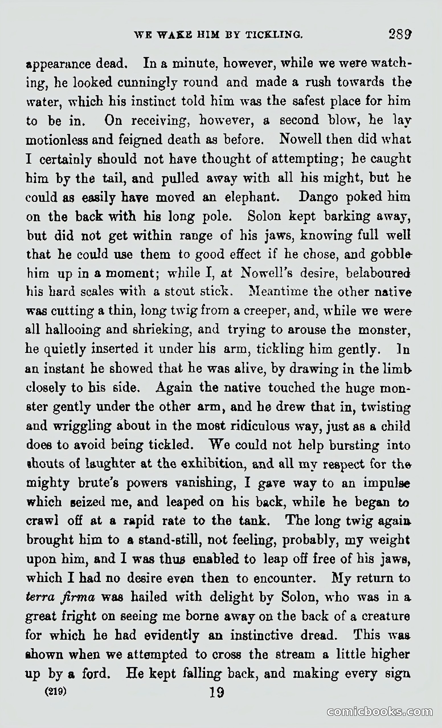 My First Voyage to Southern Seas — page 291 of 400