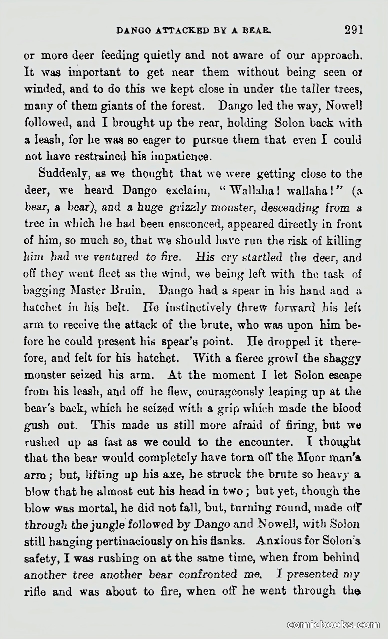 My First Voyage to Southern Seas — page 293 of 400