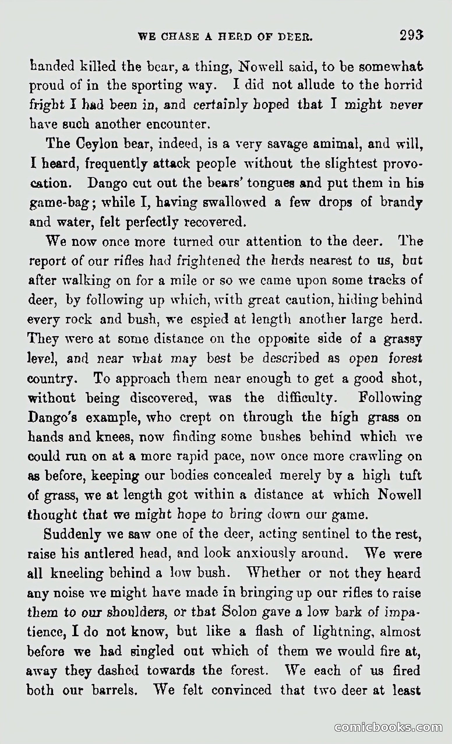 My First Voyage to Southern Seas — page 295 of 400
