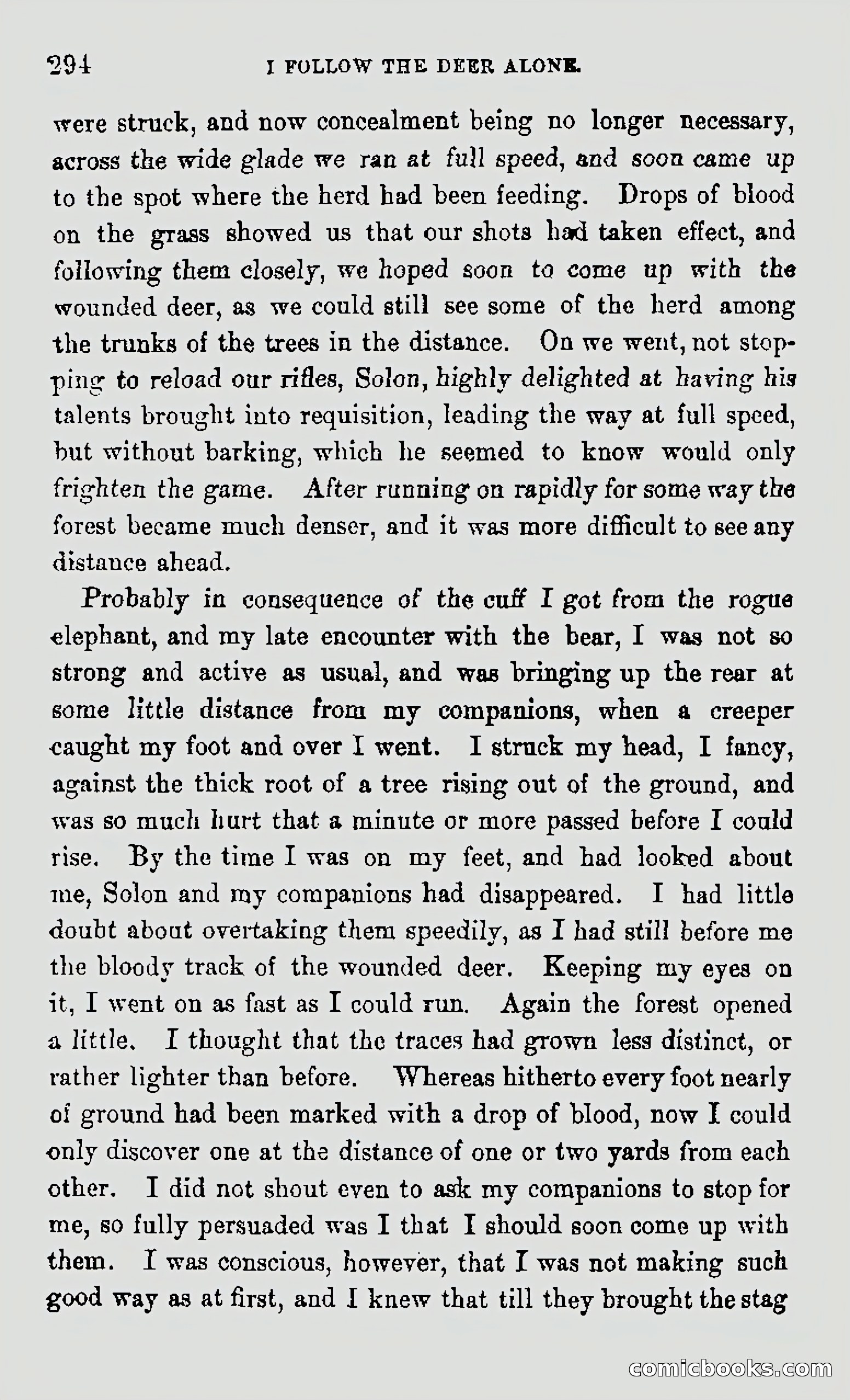 My First Voyage to Southern Seas — page 296 of 400