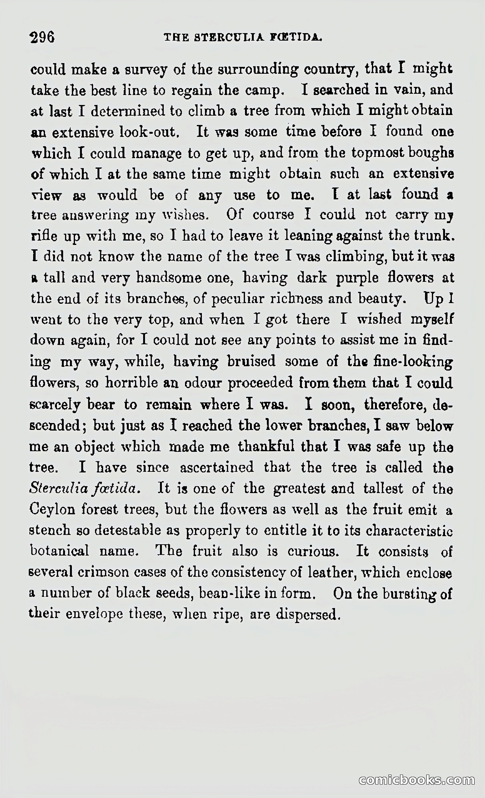My First Voyage to Southern Seas — page 298 of 400