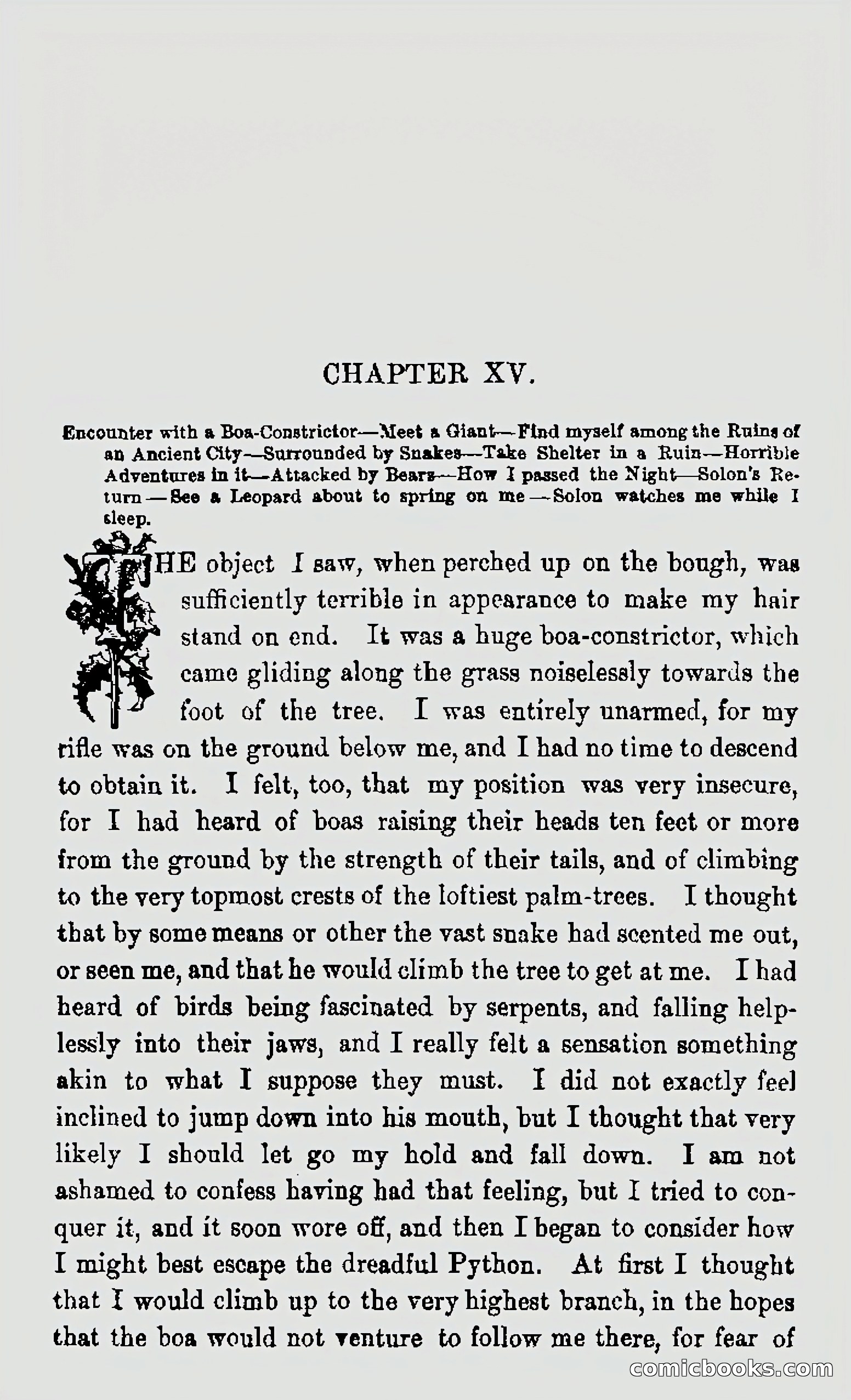 My First Voyage to Southern Seas — page 299 of 400