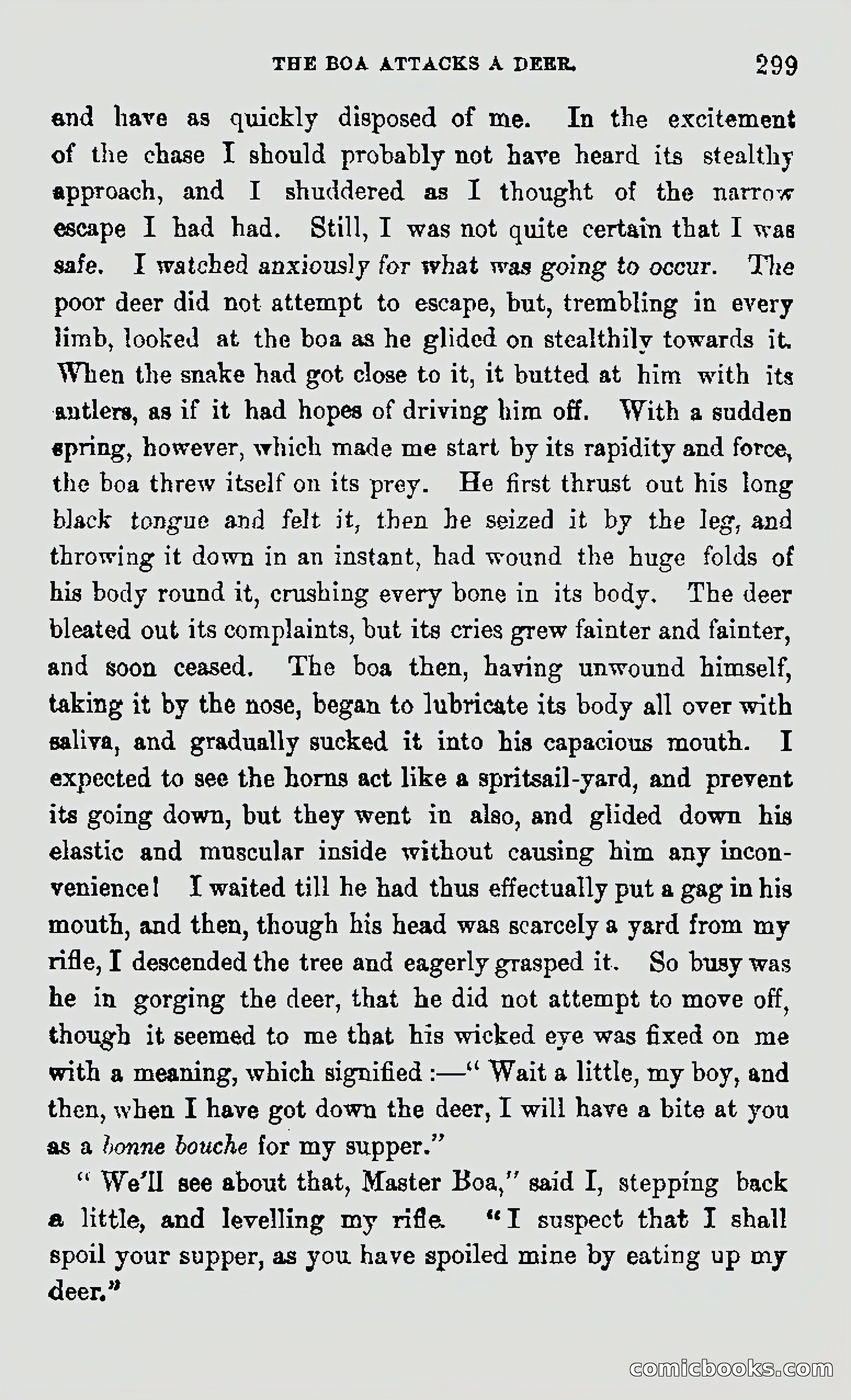 My First Voyage to Southern Seas — page 301 of 400