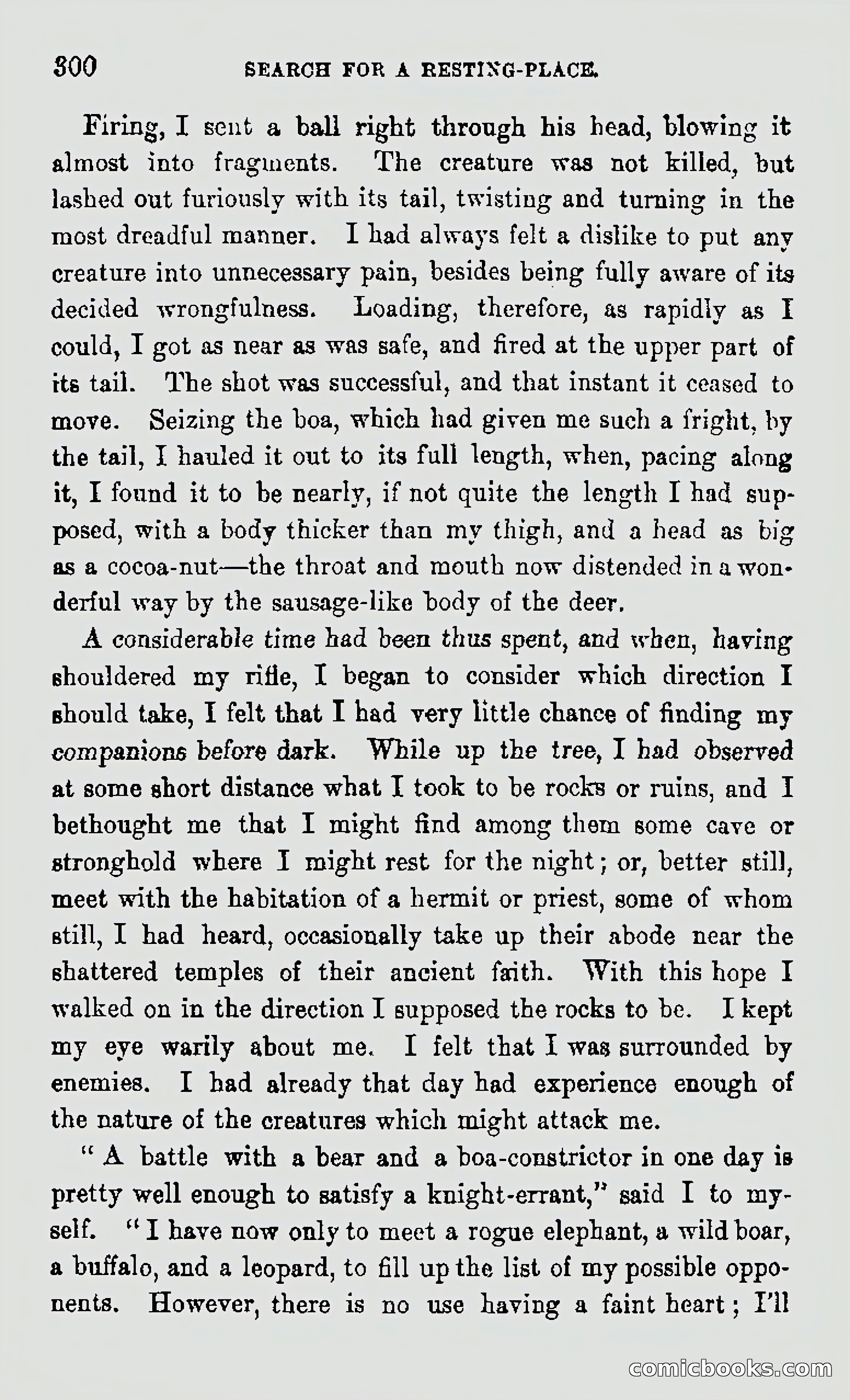 My First Voyage to Southern Seas — page 302 of 400
