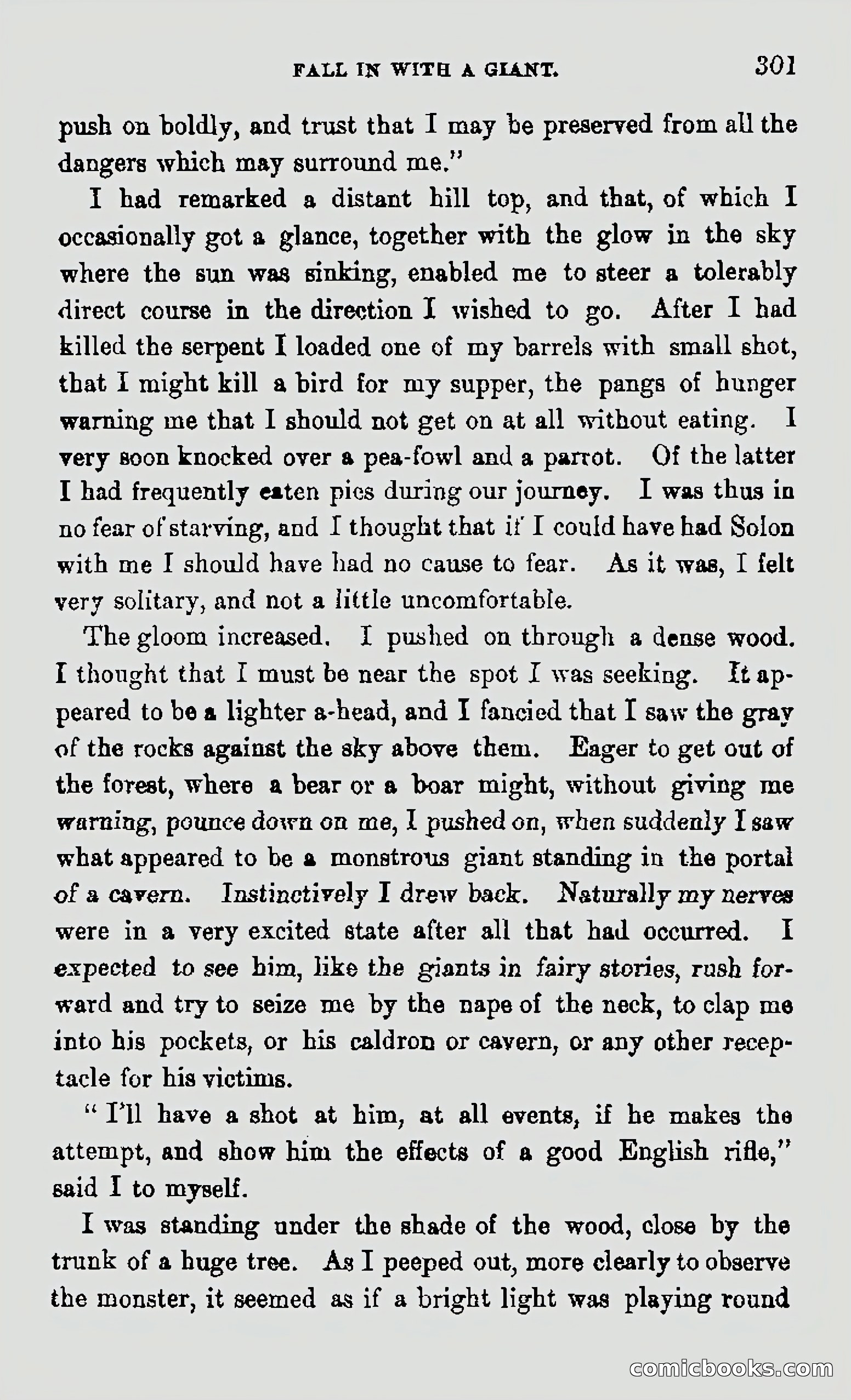 My First Voyage to Southern Seas — page 303 of 400
