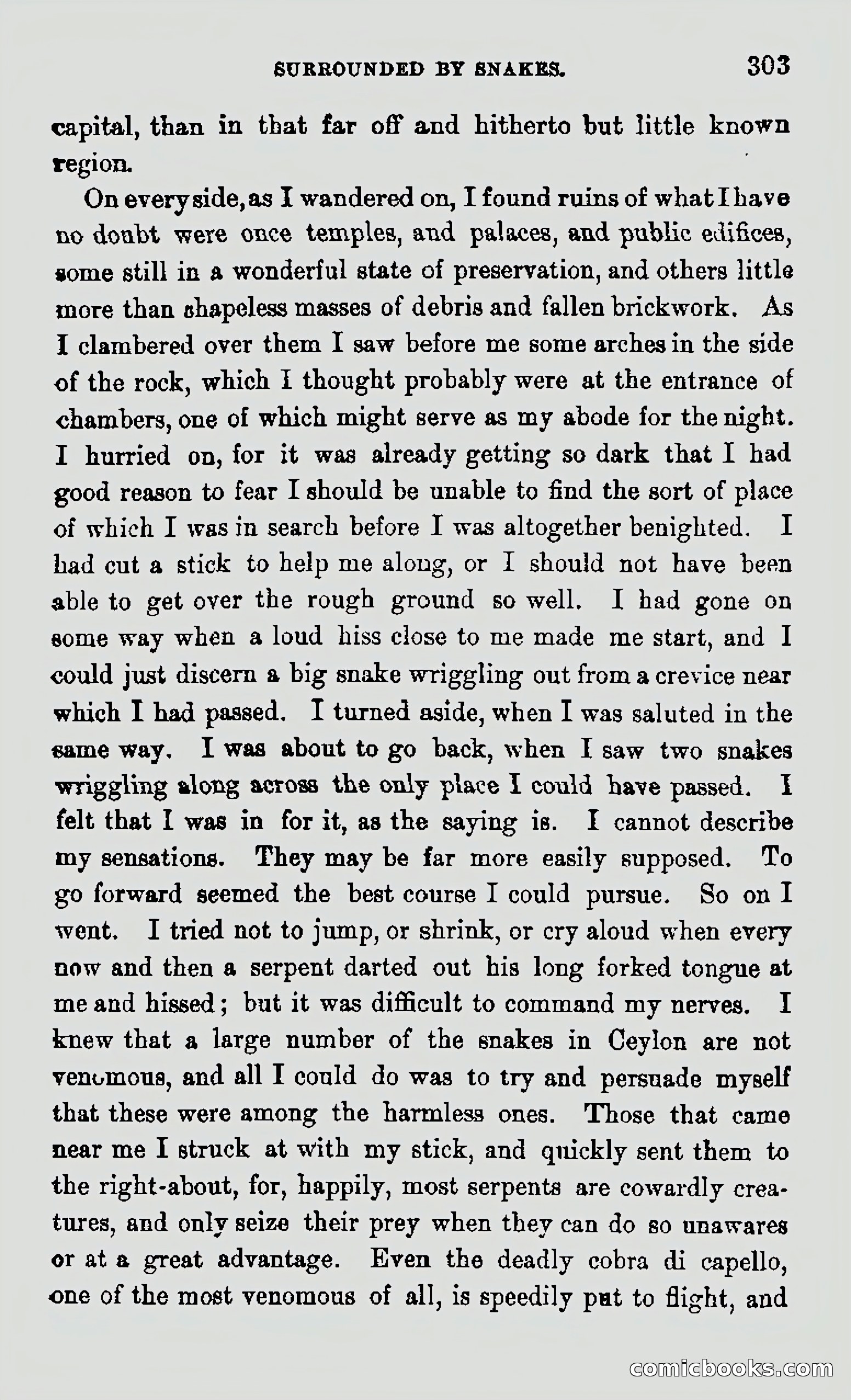 My First Voyage to Southern Seas — page 305 of 400