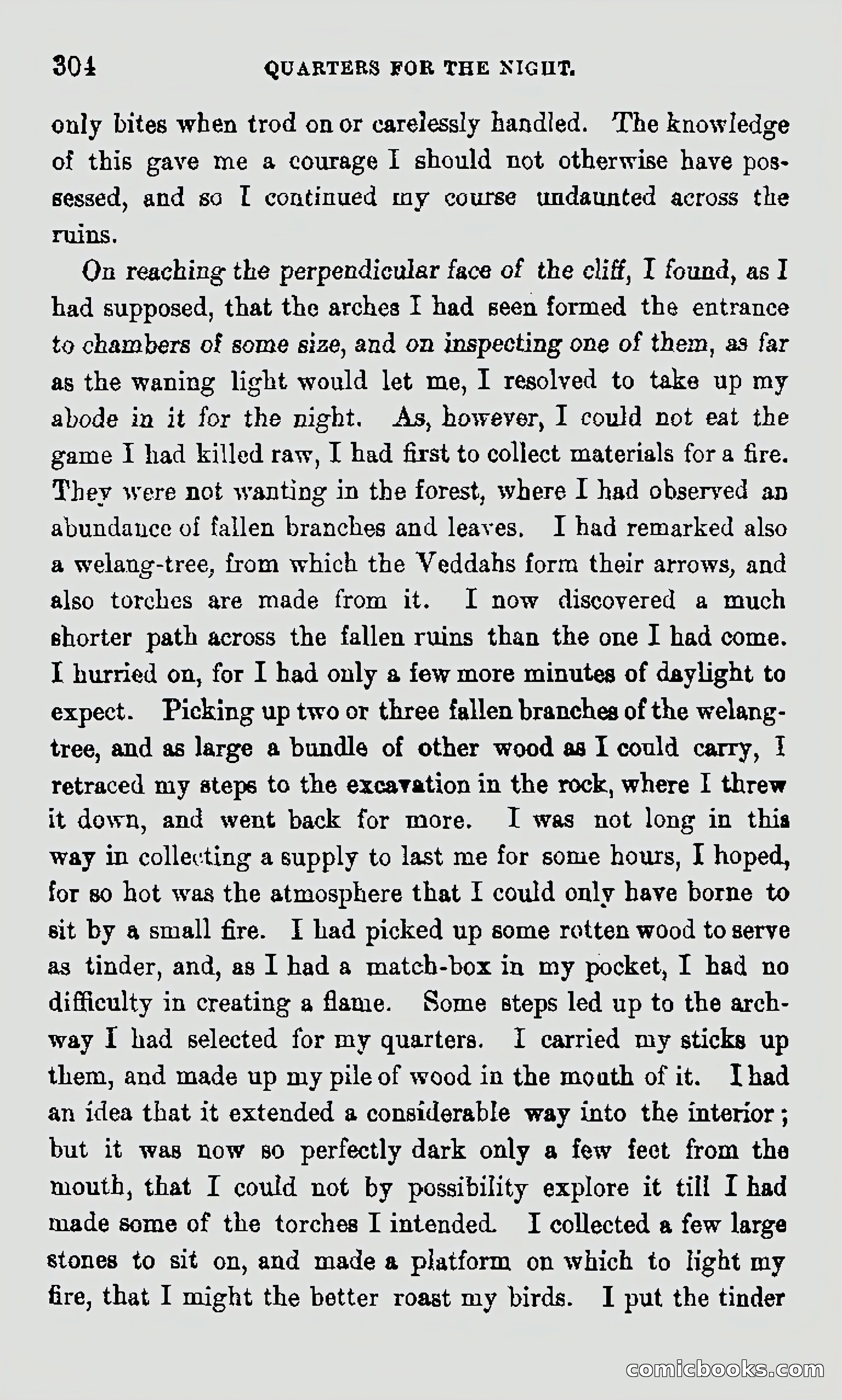 My First Voyage to Southern Seas — page 306 of 400
