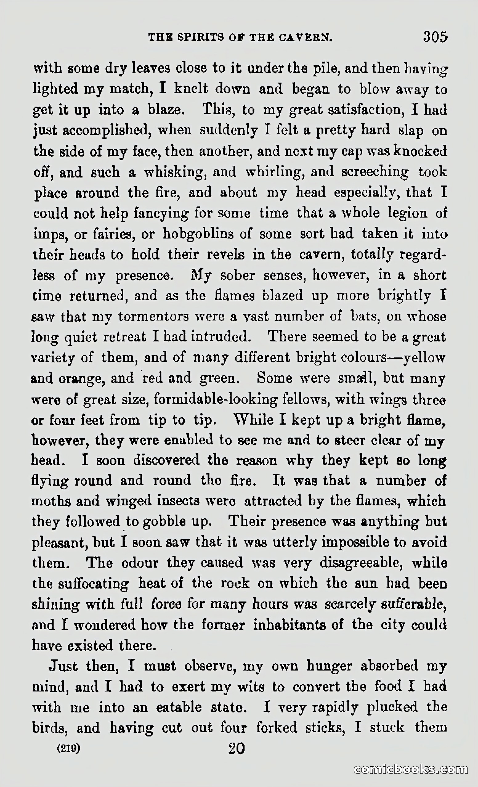 My First Voyage to Southern Seas — page 307 of 400