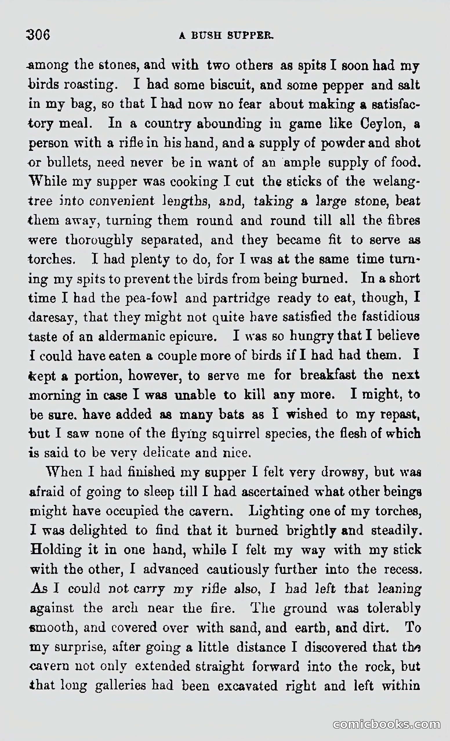 My First Voyage to Southern Seas — page 308 of 400