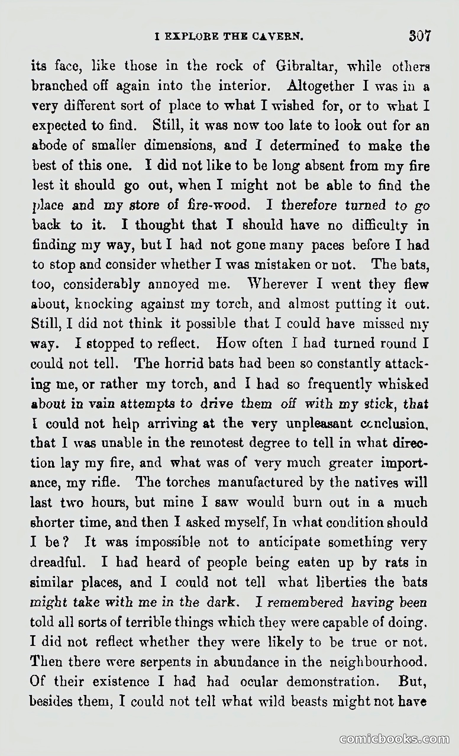My First Voyage to Southern Seas — page 309 of 400
