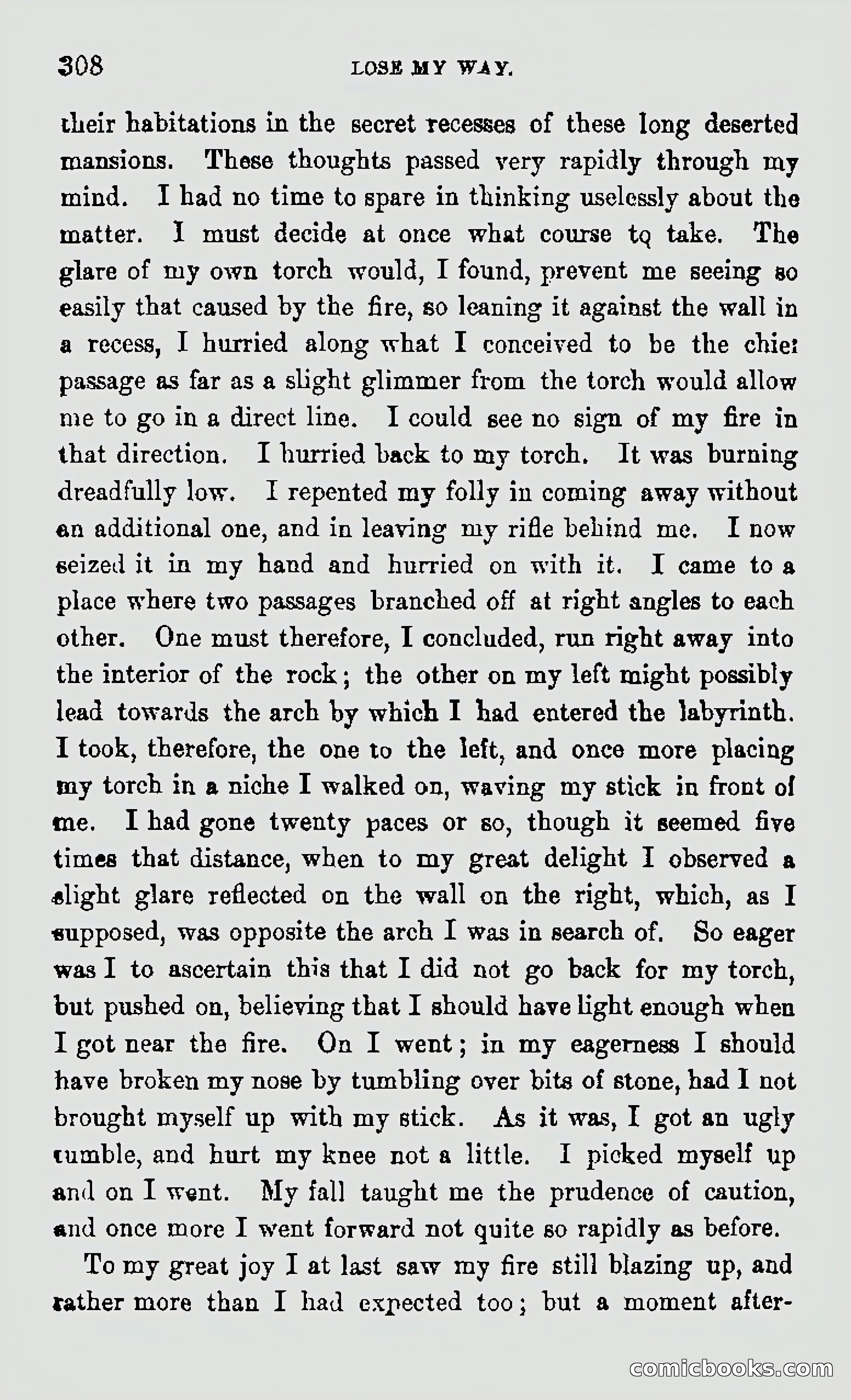 My First Voyage to Southern Seas — page 310 of 400