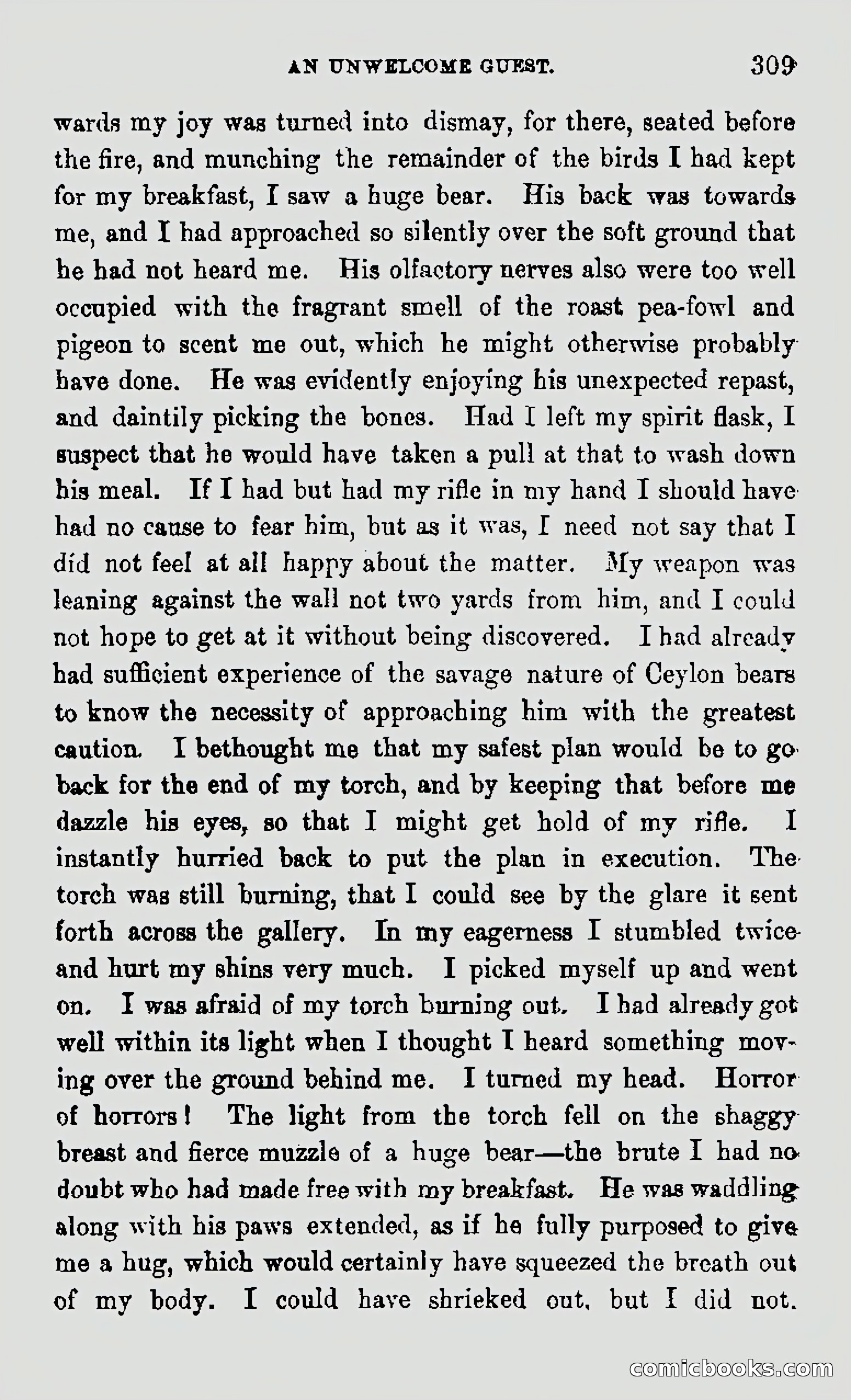My First Voyage to Southern Seas — page 311 of 400
