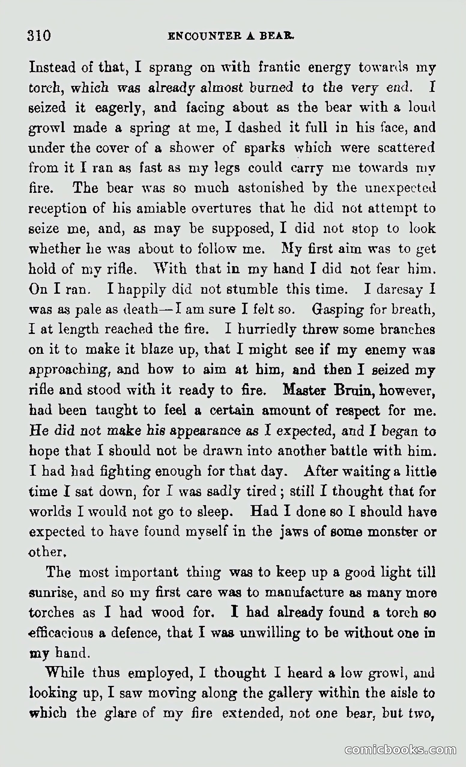 My First Voyage to Southern Seas — page 312 of 400