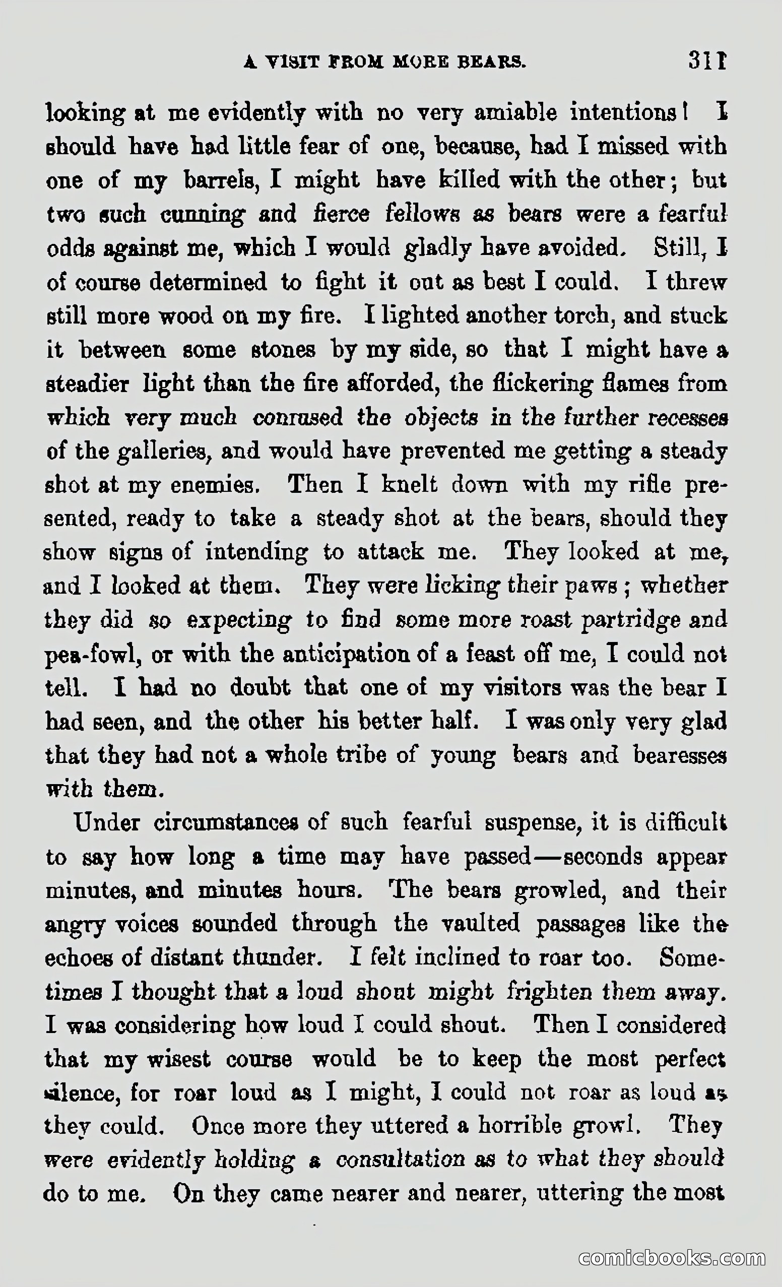 My First Voyage to Southern Seas — page 313 of 400