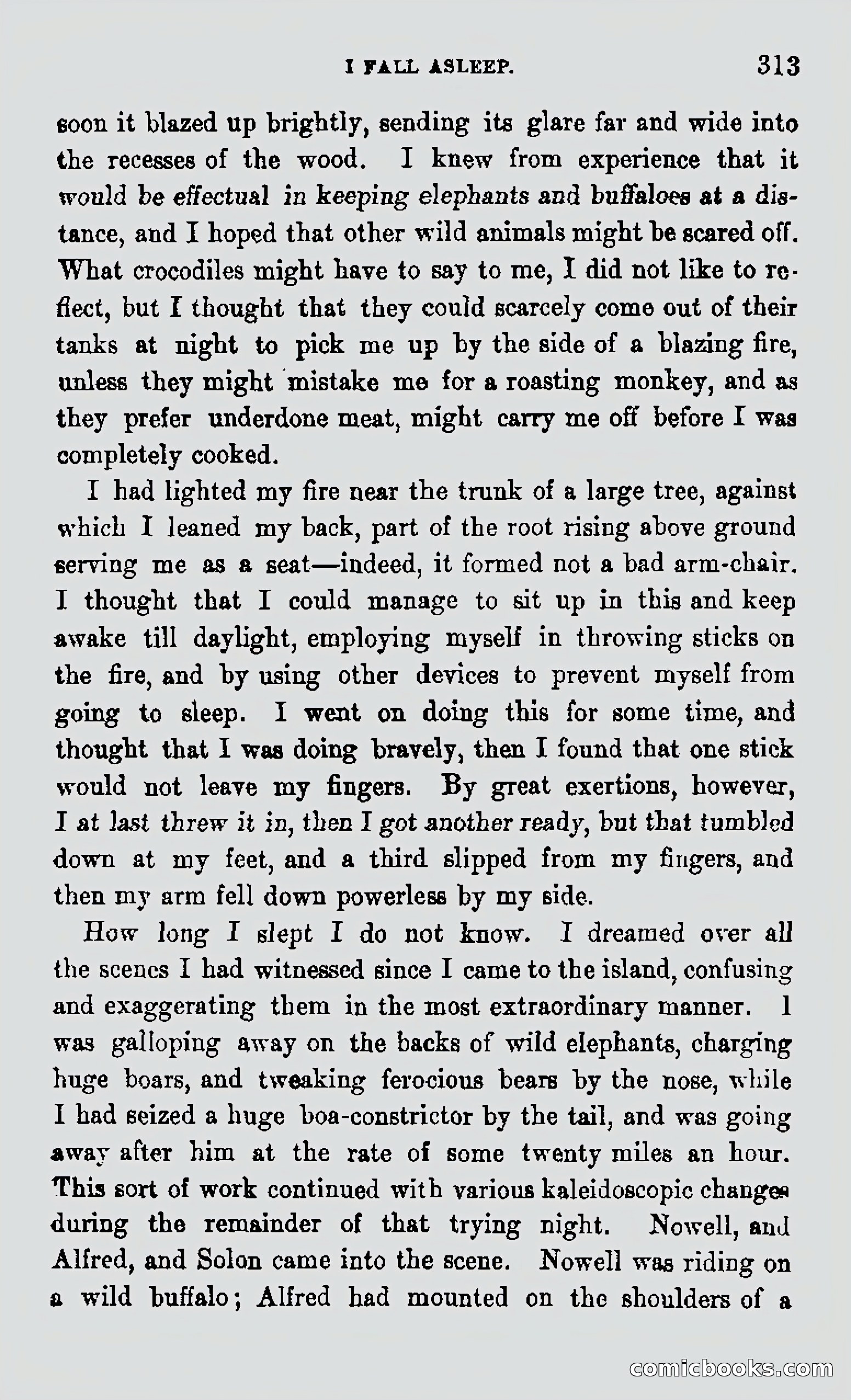 My First Voyage to Southern Seas — page 315 of 400