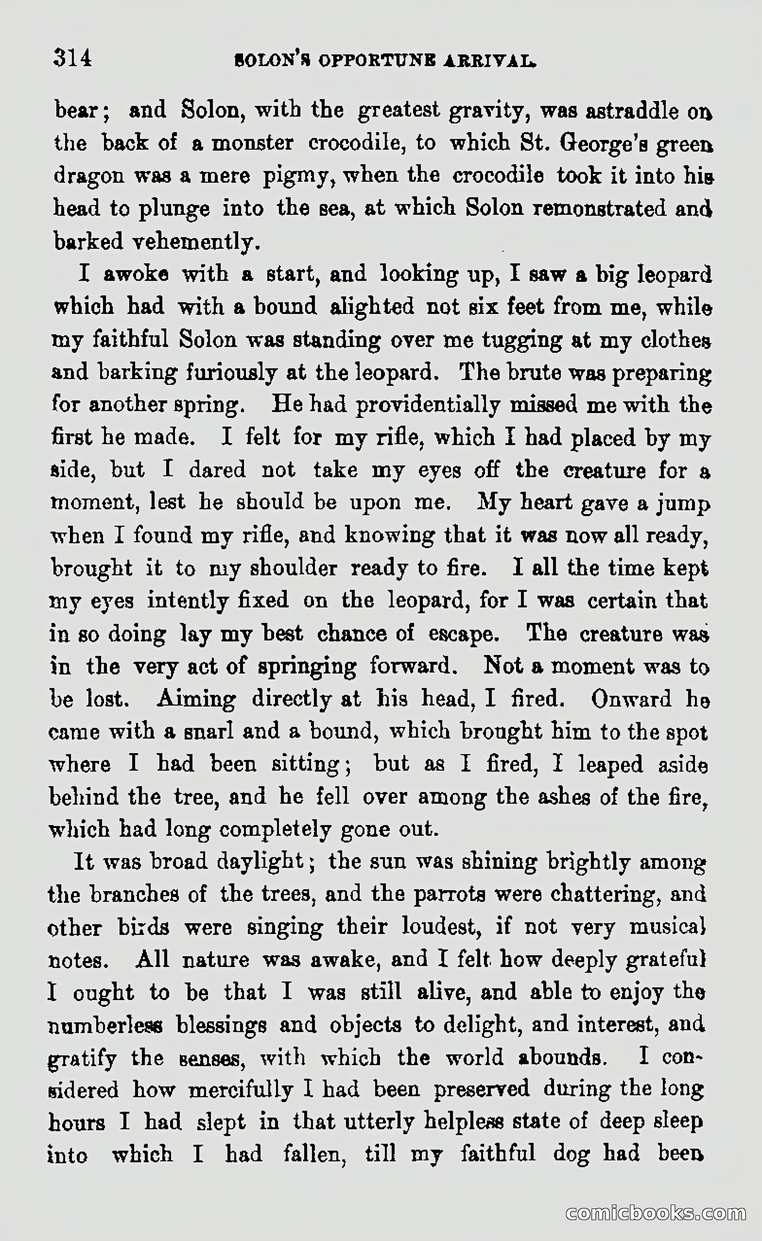 My First Voyage to Southern Seas — page 316 of 400
