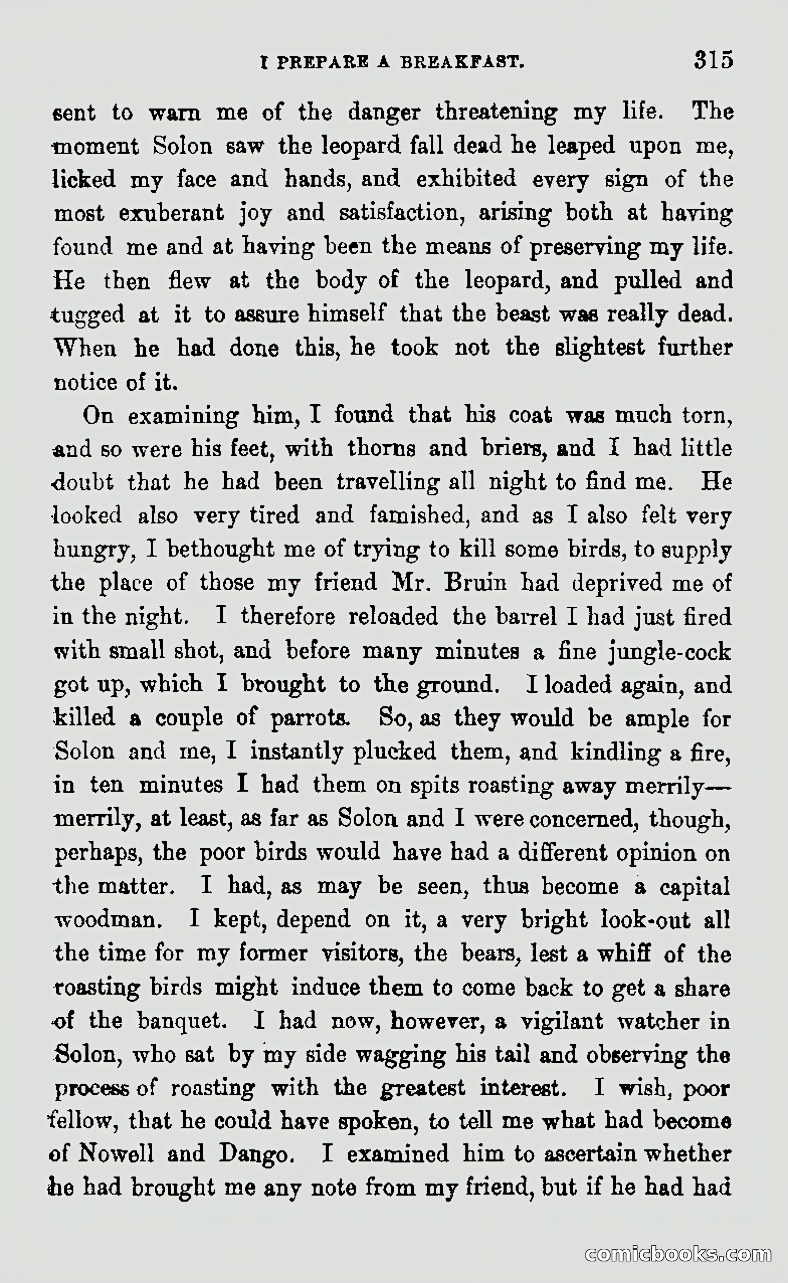 My First Voyage to Southern Seas — page 317 of 400