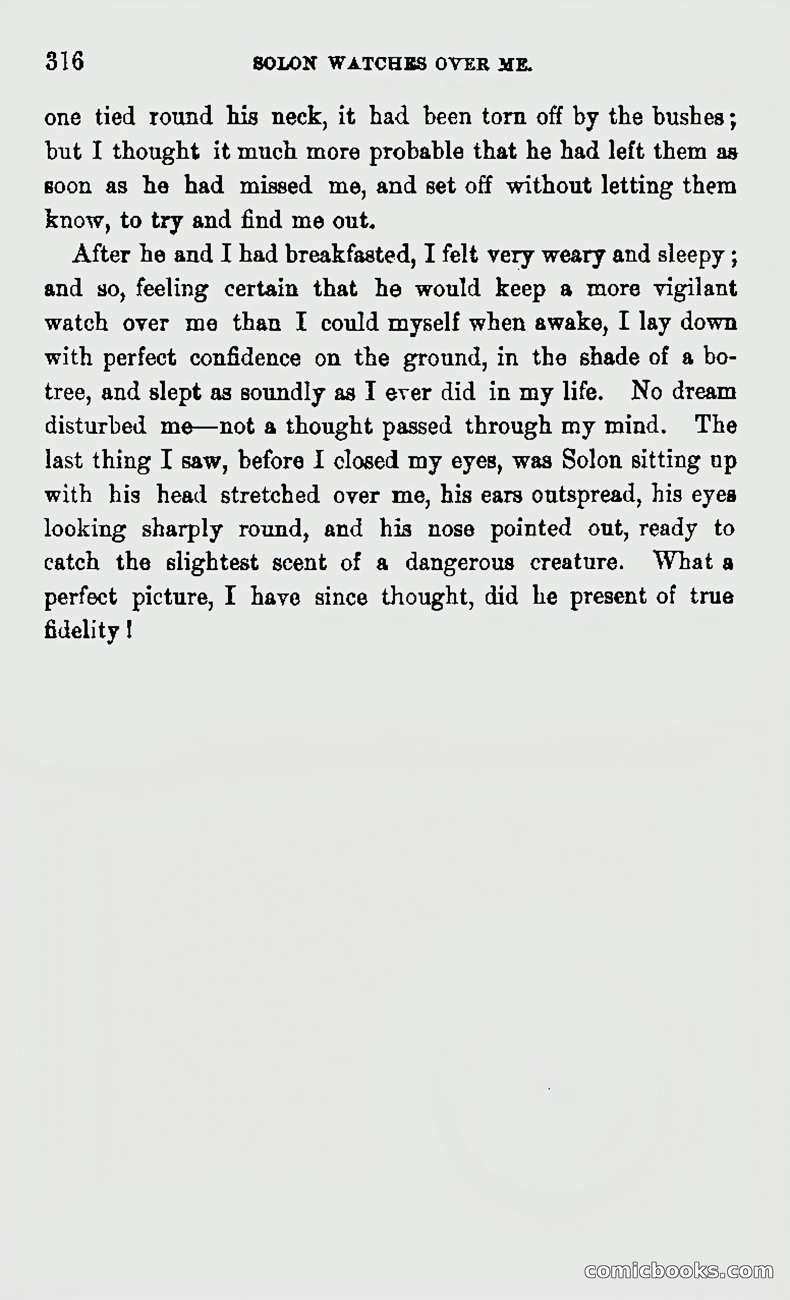 My First Voyage to Southern Seas — page 318 of 400