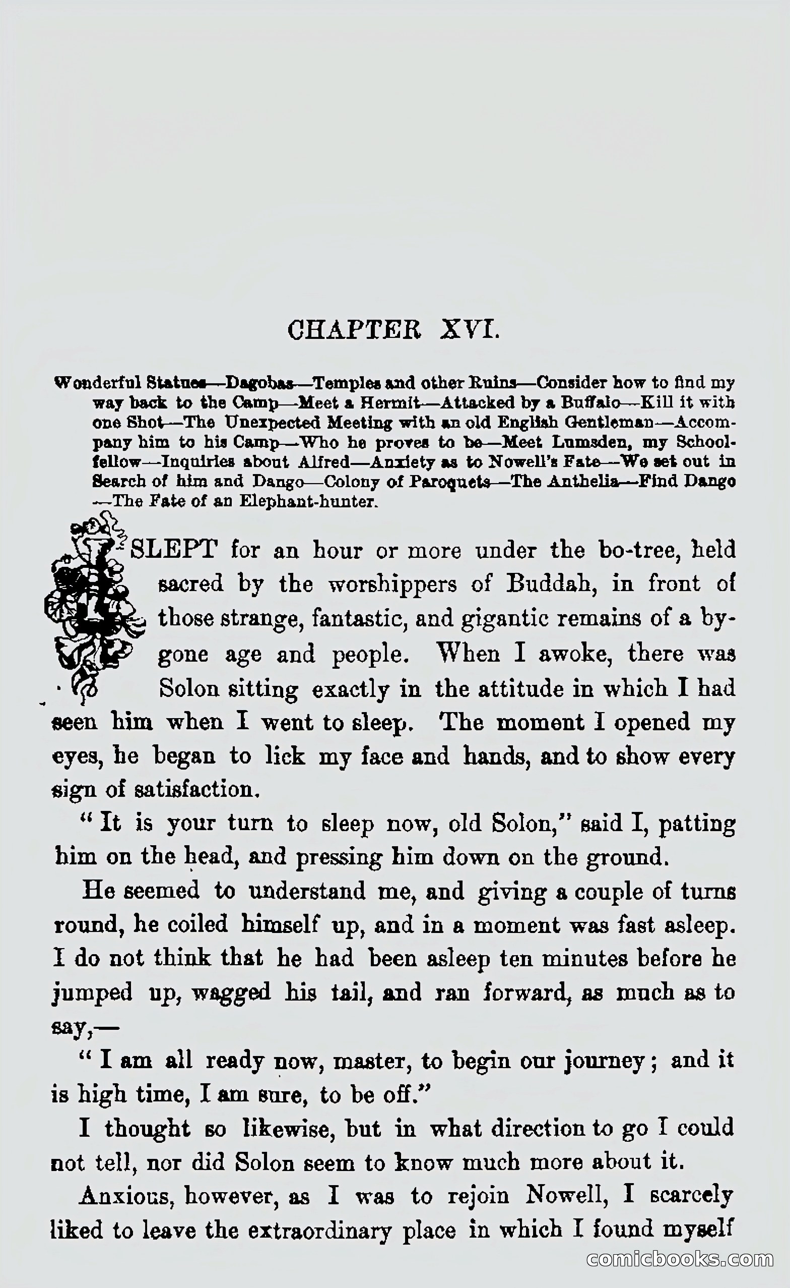 My First Voyage to Southern Seas — page 319 of 400