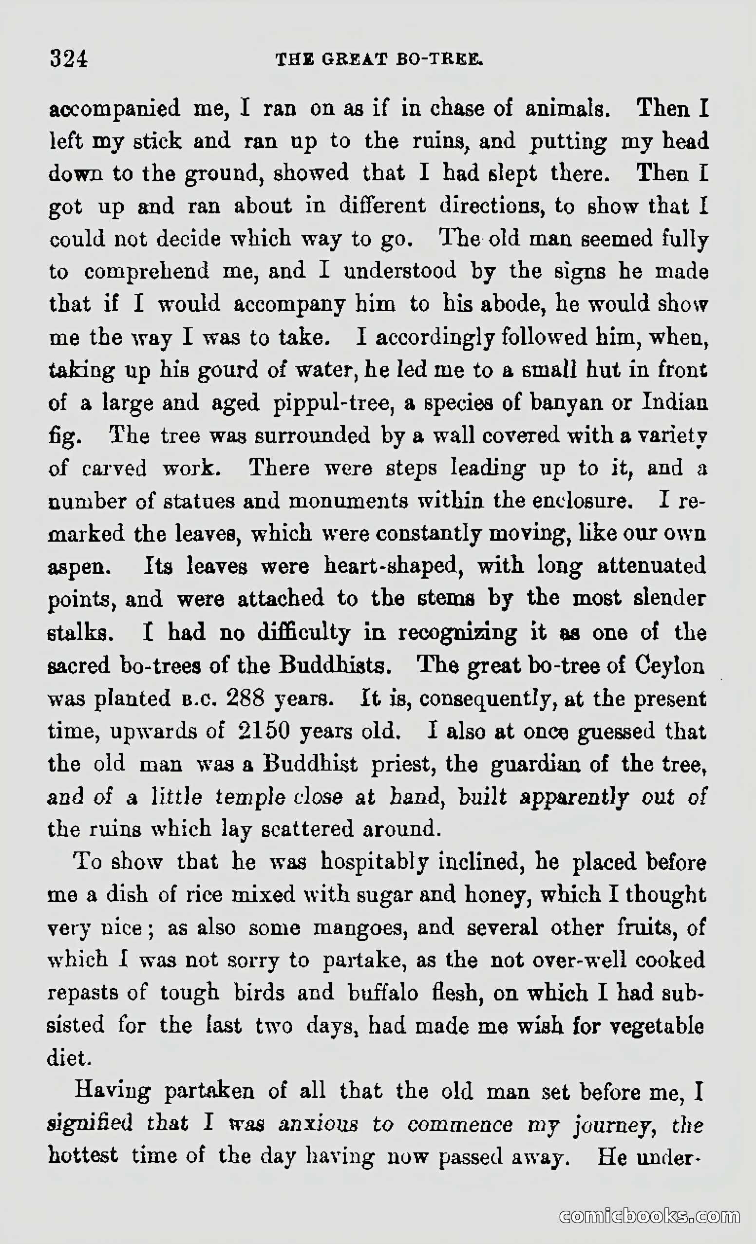 My First Voyage to Southern Seas — page 326 of 400