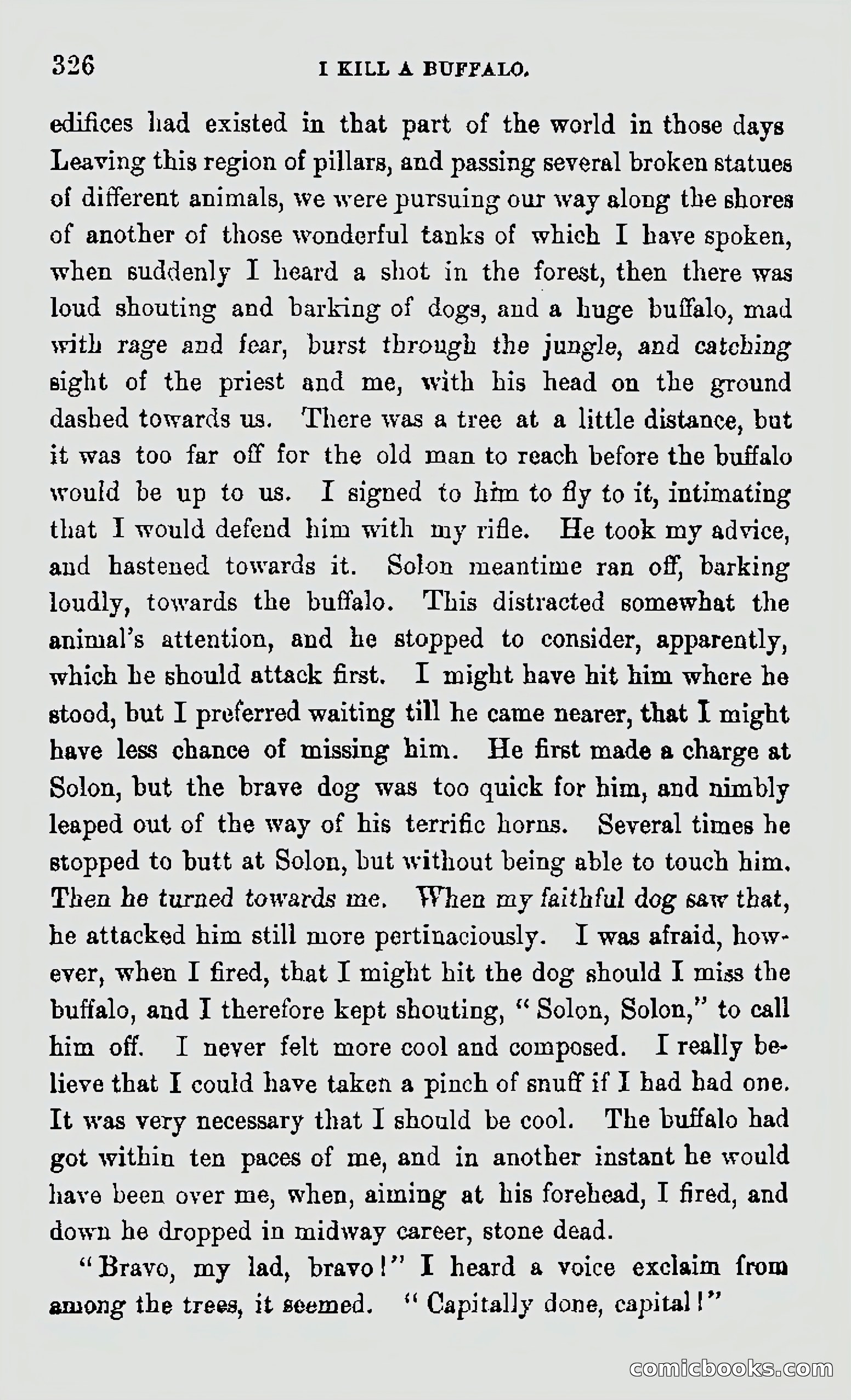 My First Voyage to Southern Seas — page 328 of 400