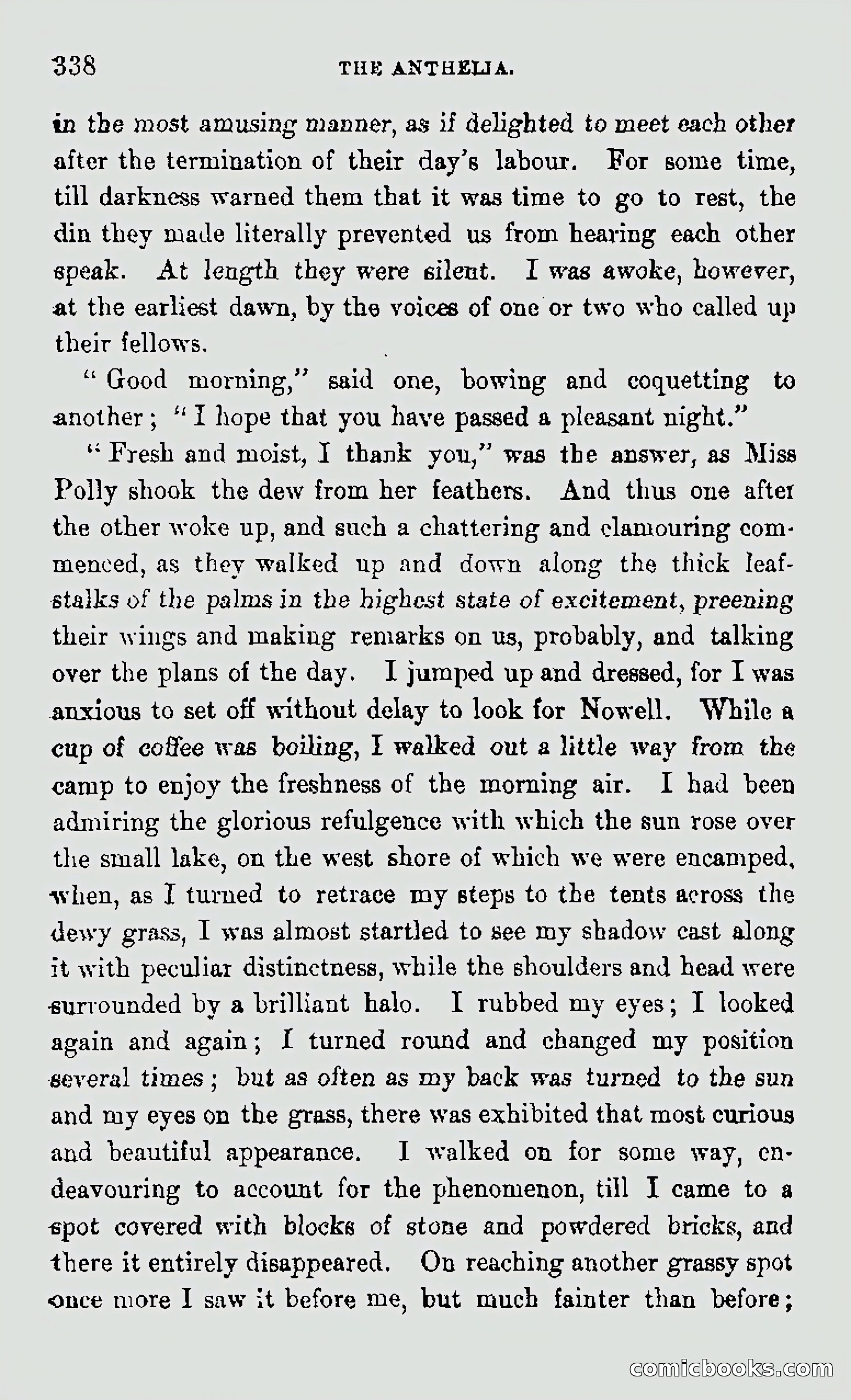 My First Voyage to Southern Seas — page 340 of 400
