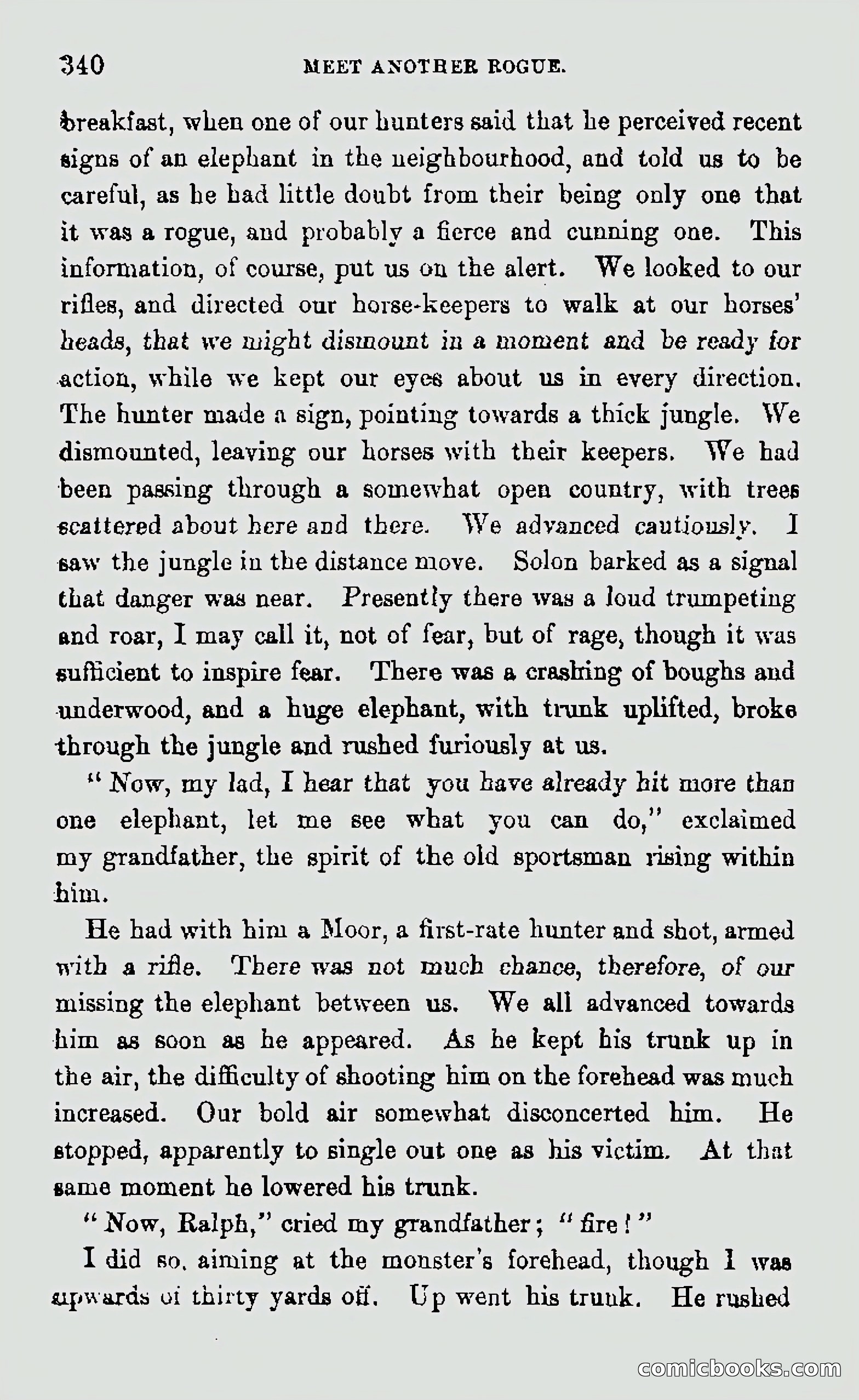 My First Voyage to Southern Seas — page 342 of 400