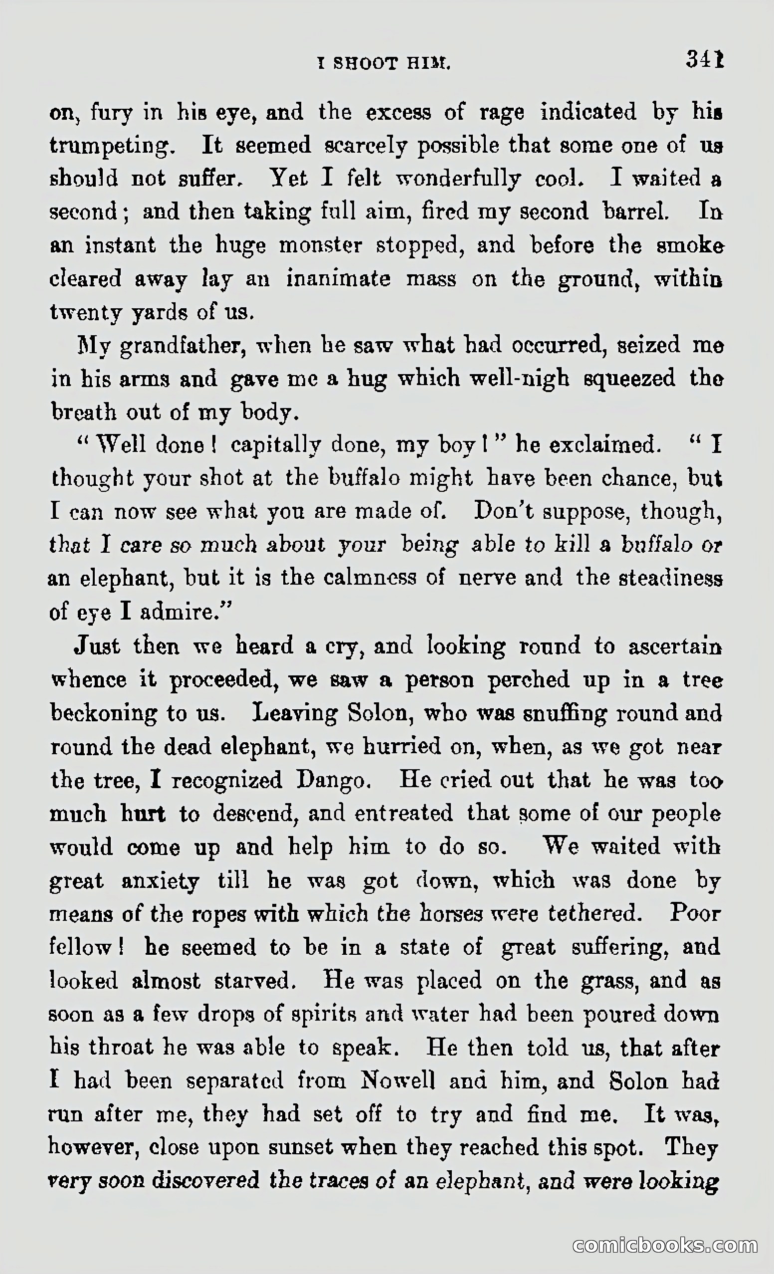 My First Voyage to Southern Seas — page 343 of 400
